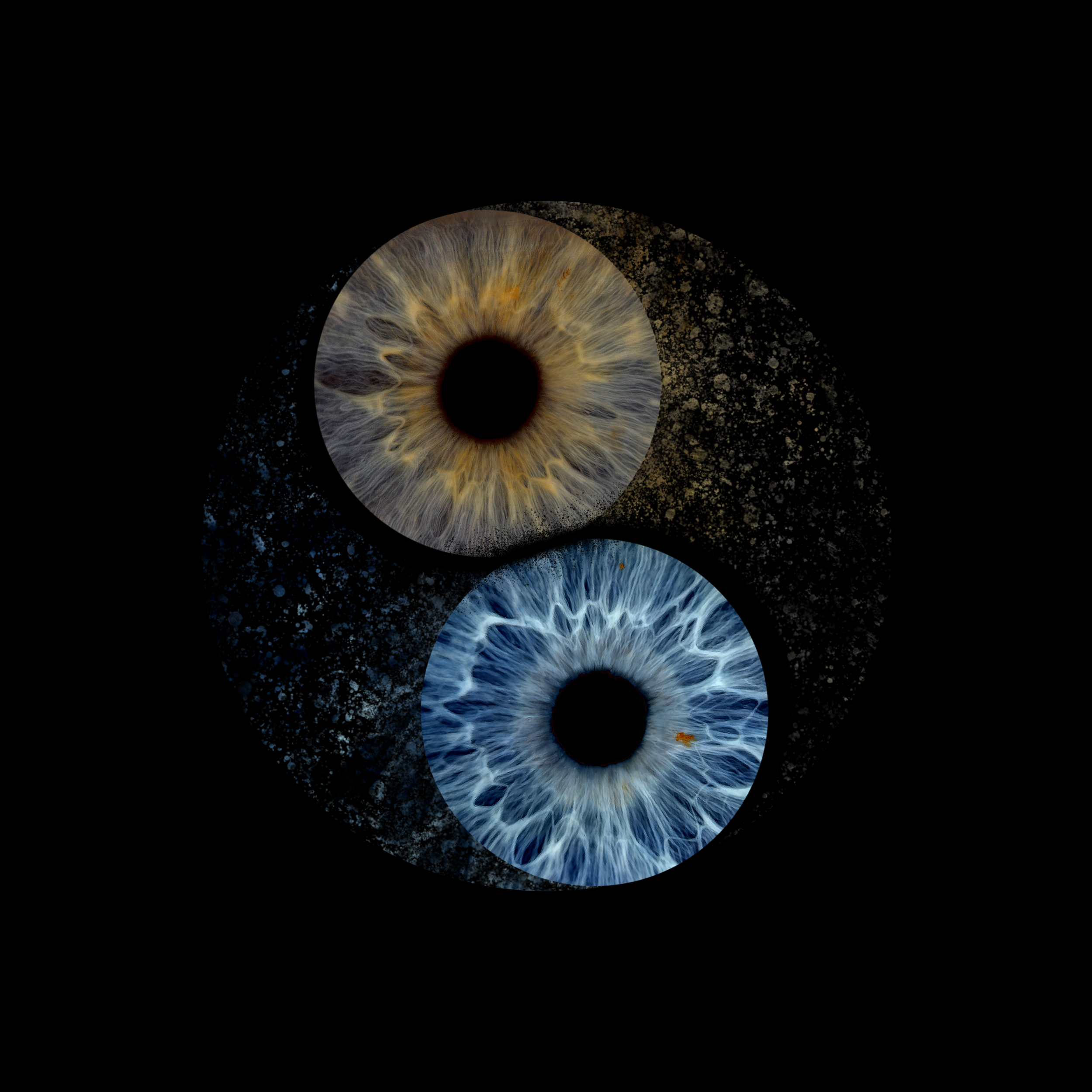 2 eyes YING YANG Cheryl 05-04-2026.png