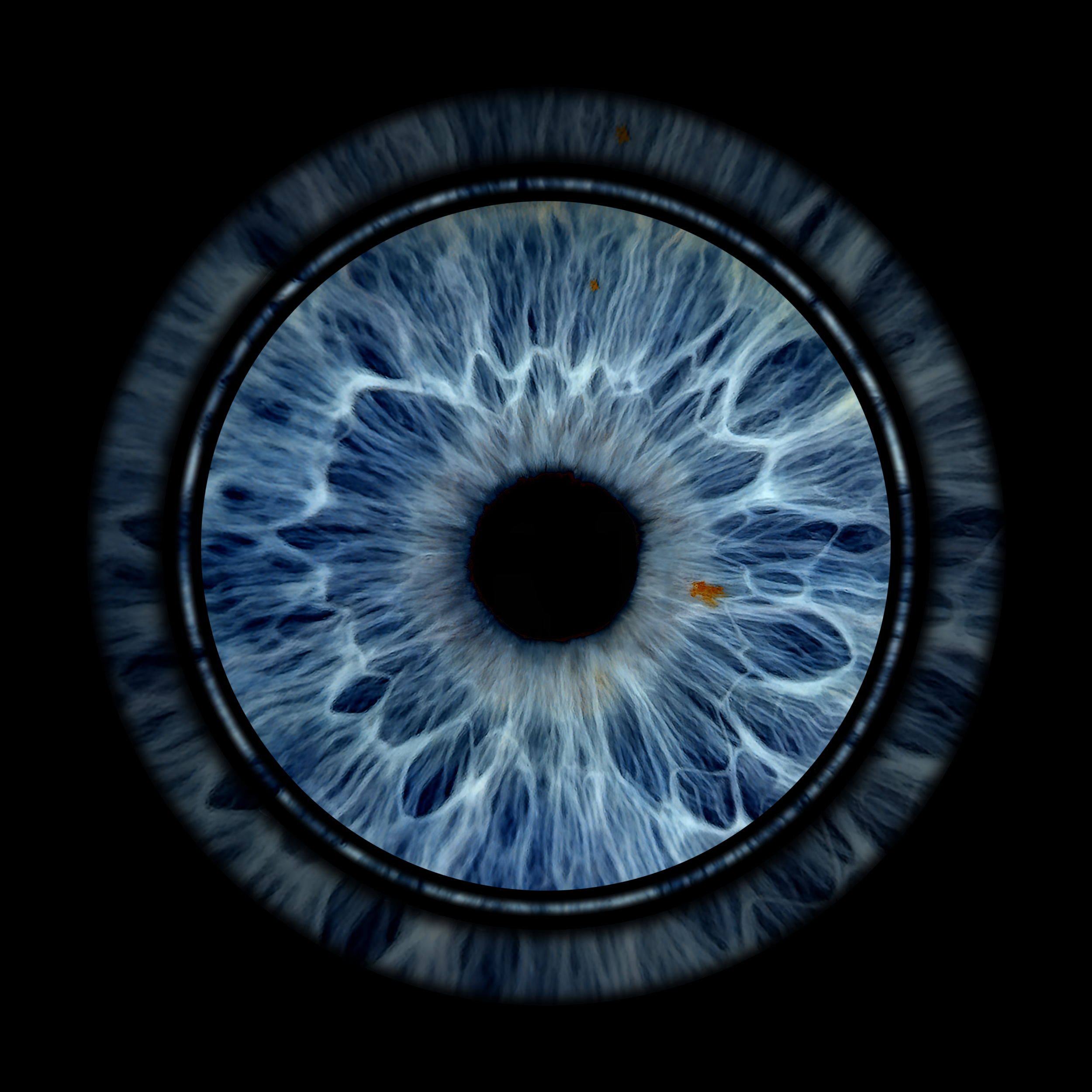 Ring Cheryl 05-04-2026.png