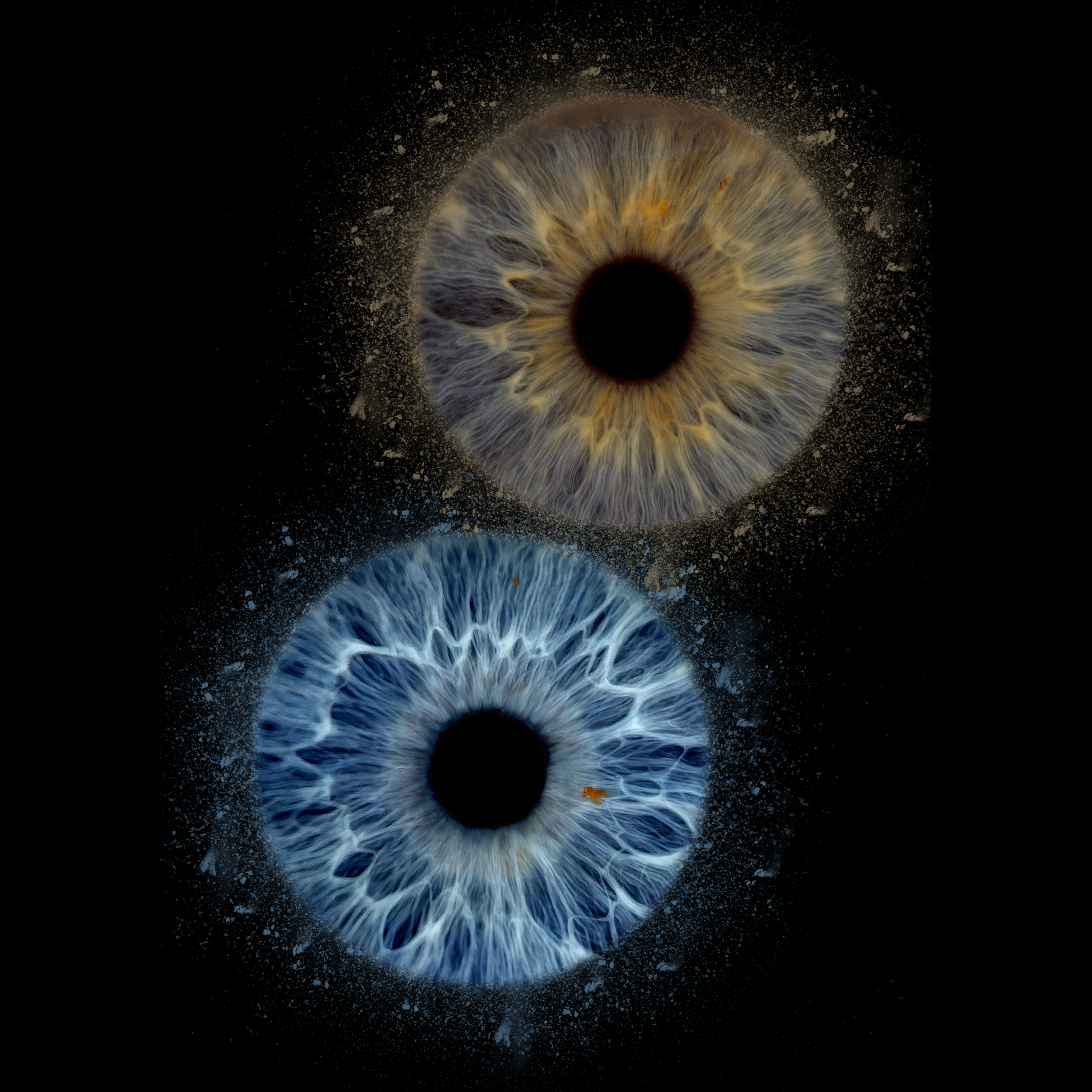2 eyes DUST _A3_ Cheryl 05-04-2026.png