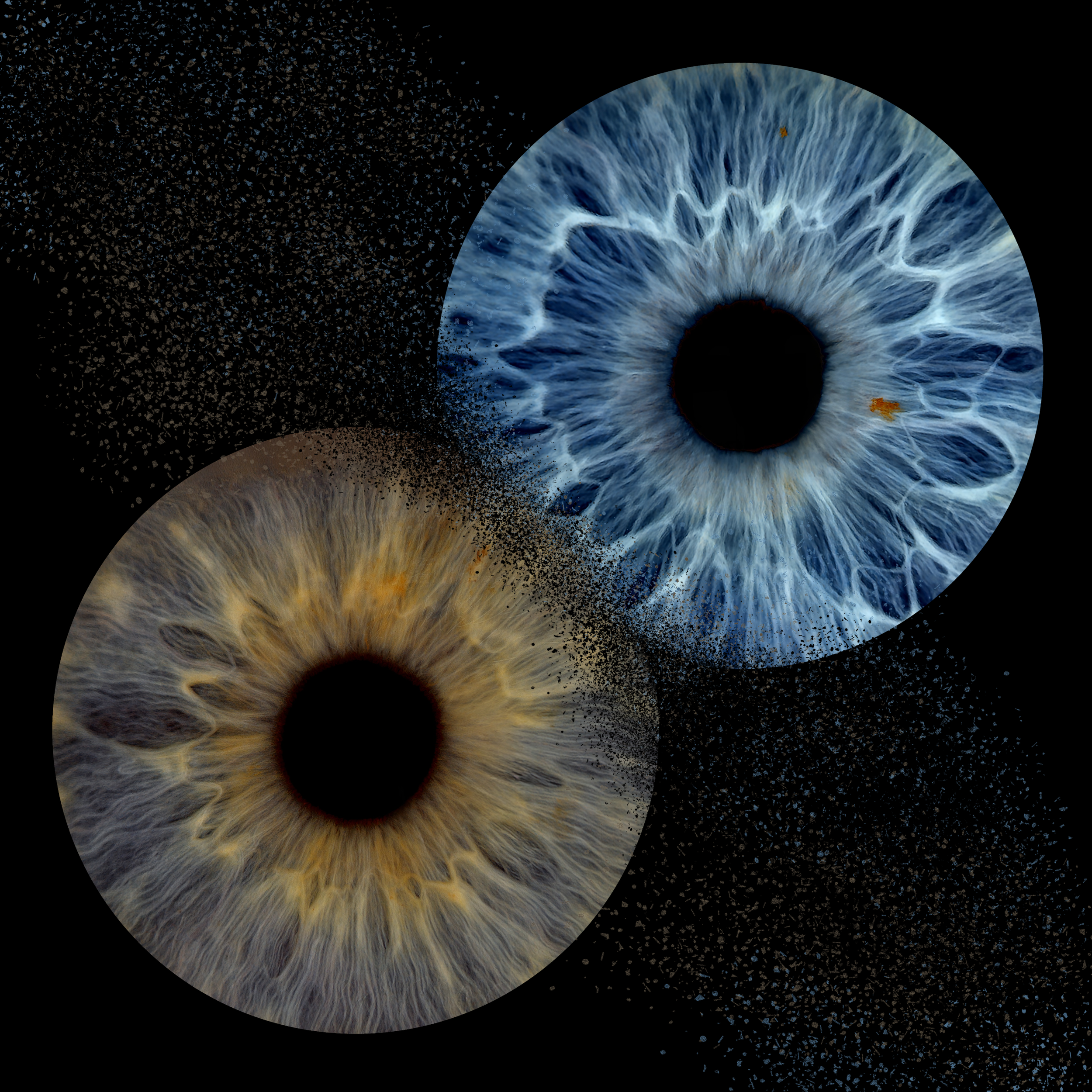 Collision 2 B Cheryl 05-04-2026.png