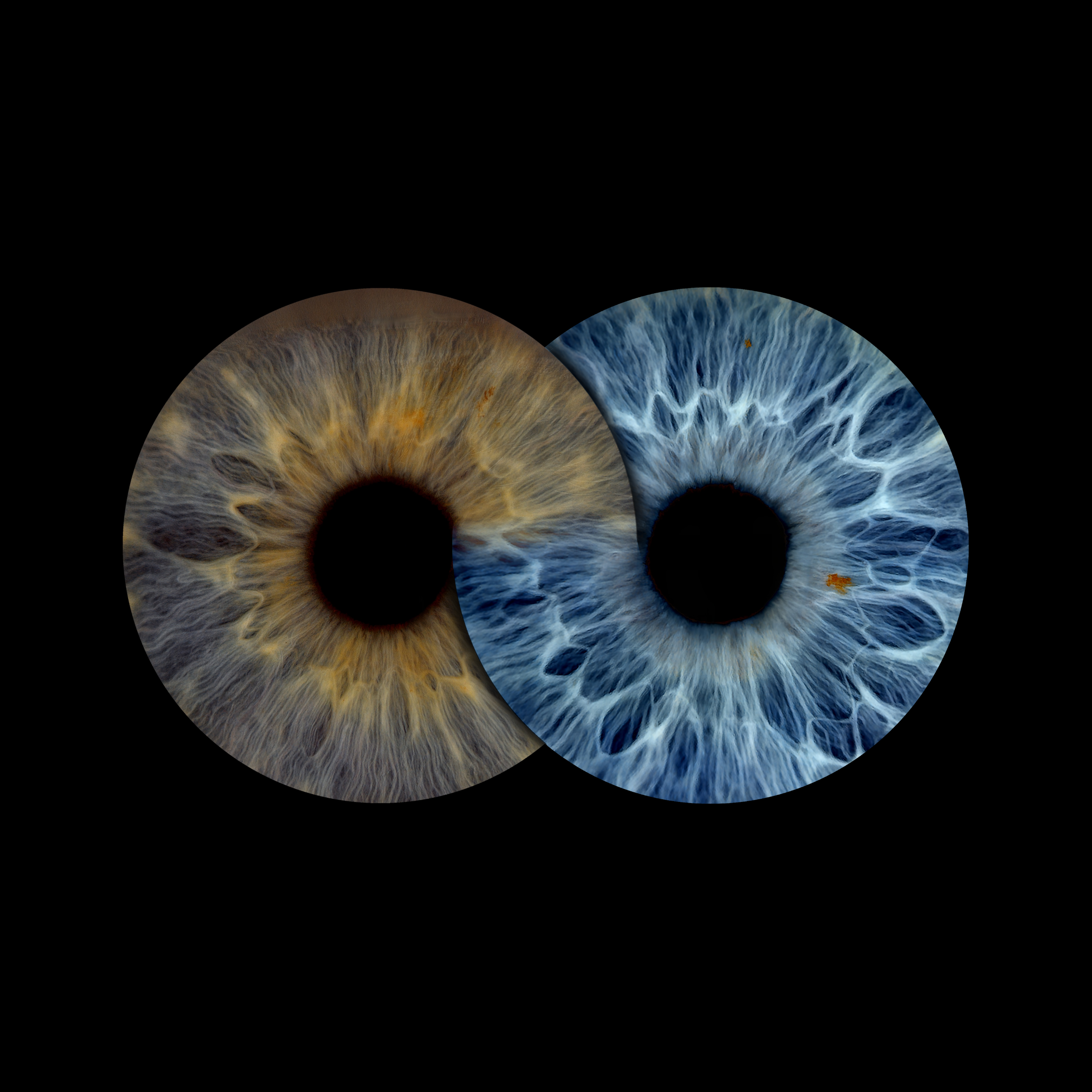 Infinity Cheryl 05-04-2026.png