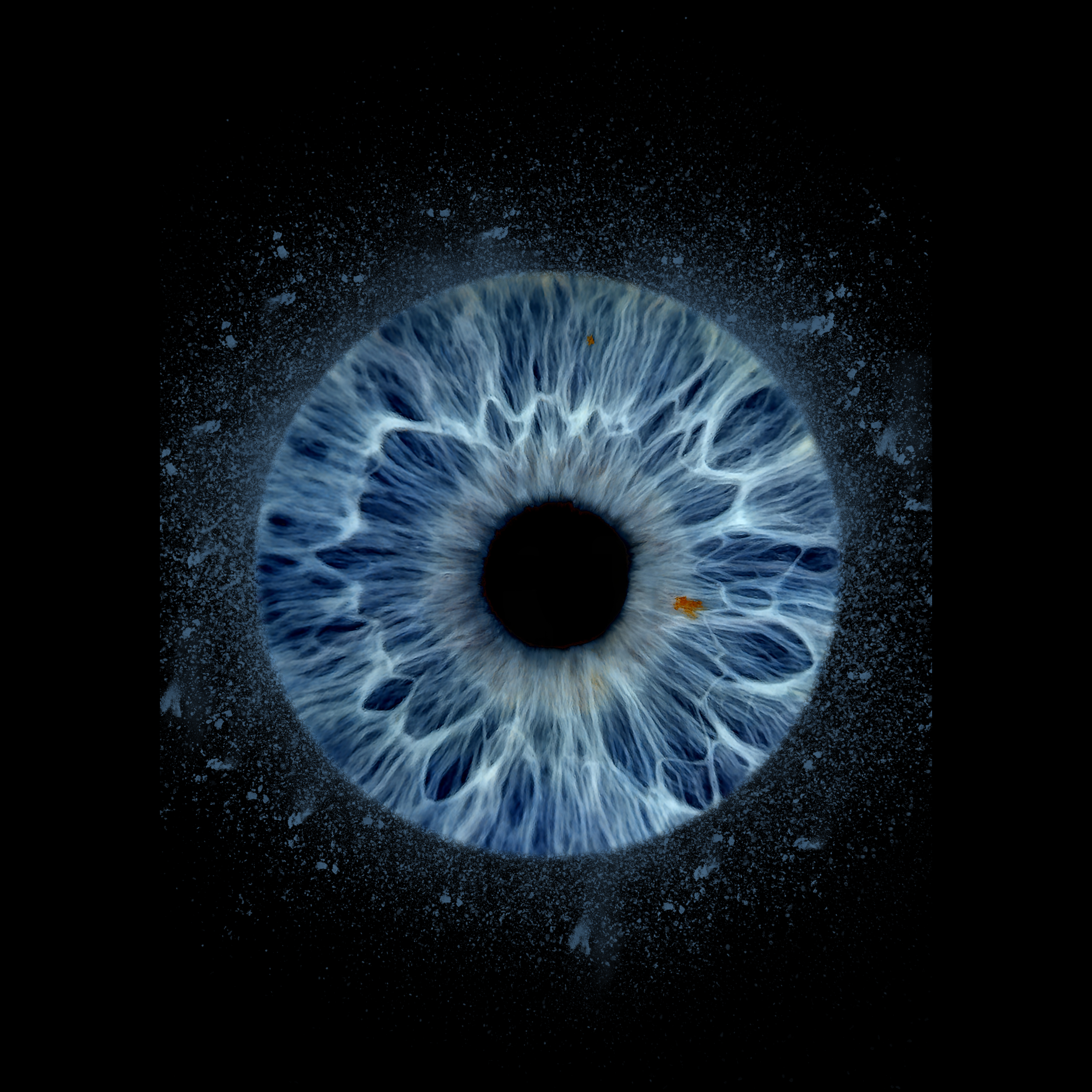 1 eye DUST Cheryl 05-04-2026.png