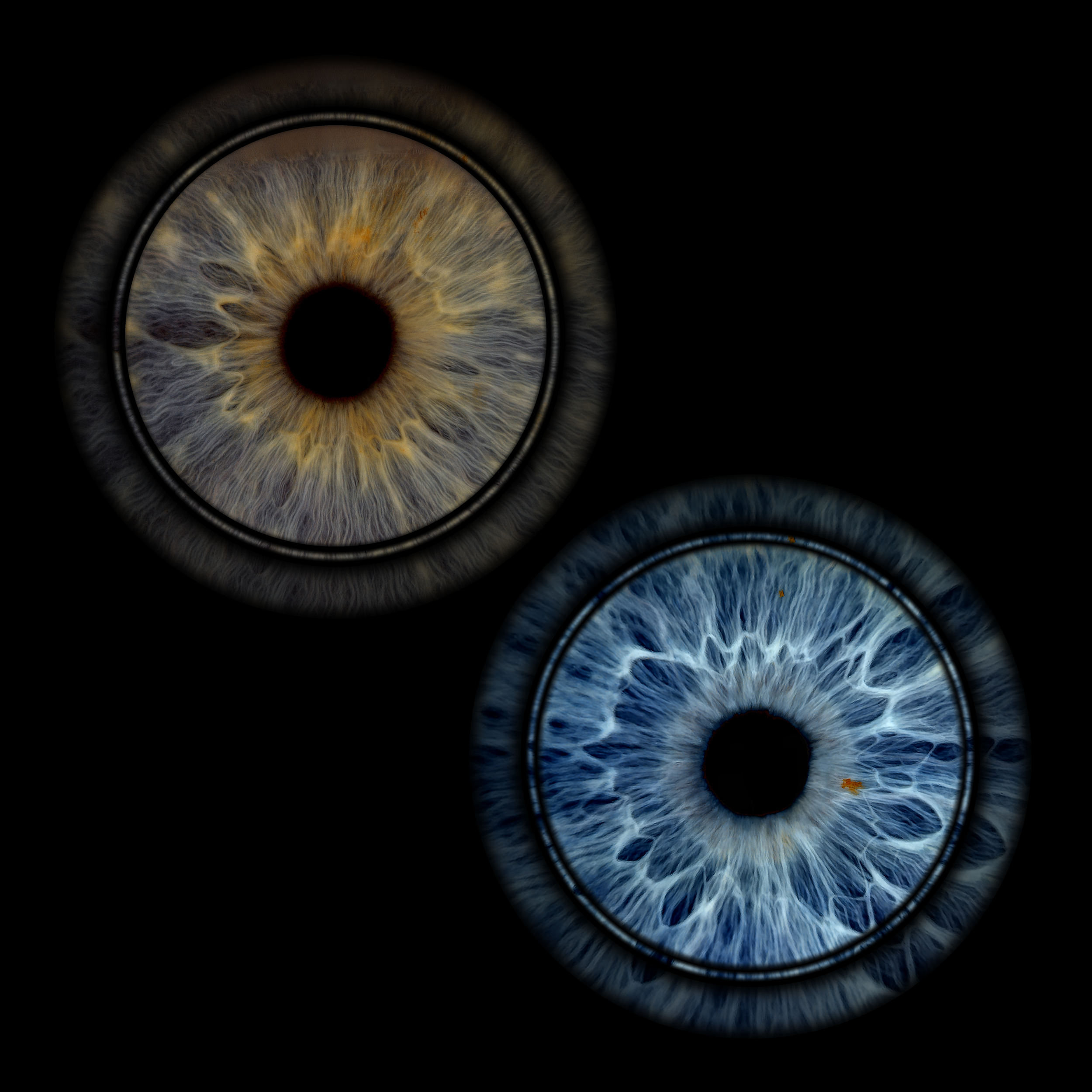 Rings 2 Cheryl 05-04-2026.png