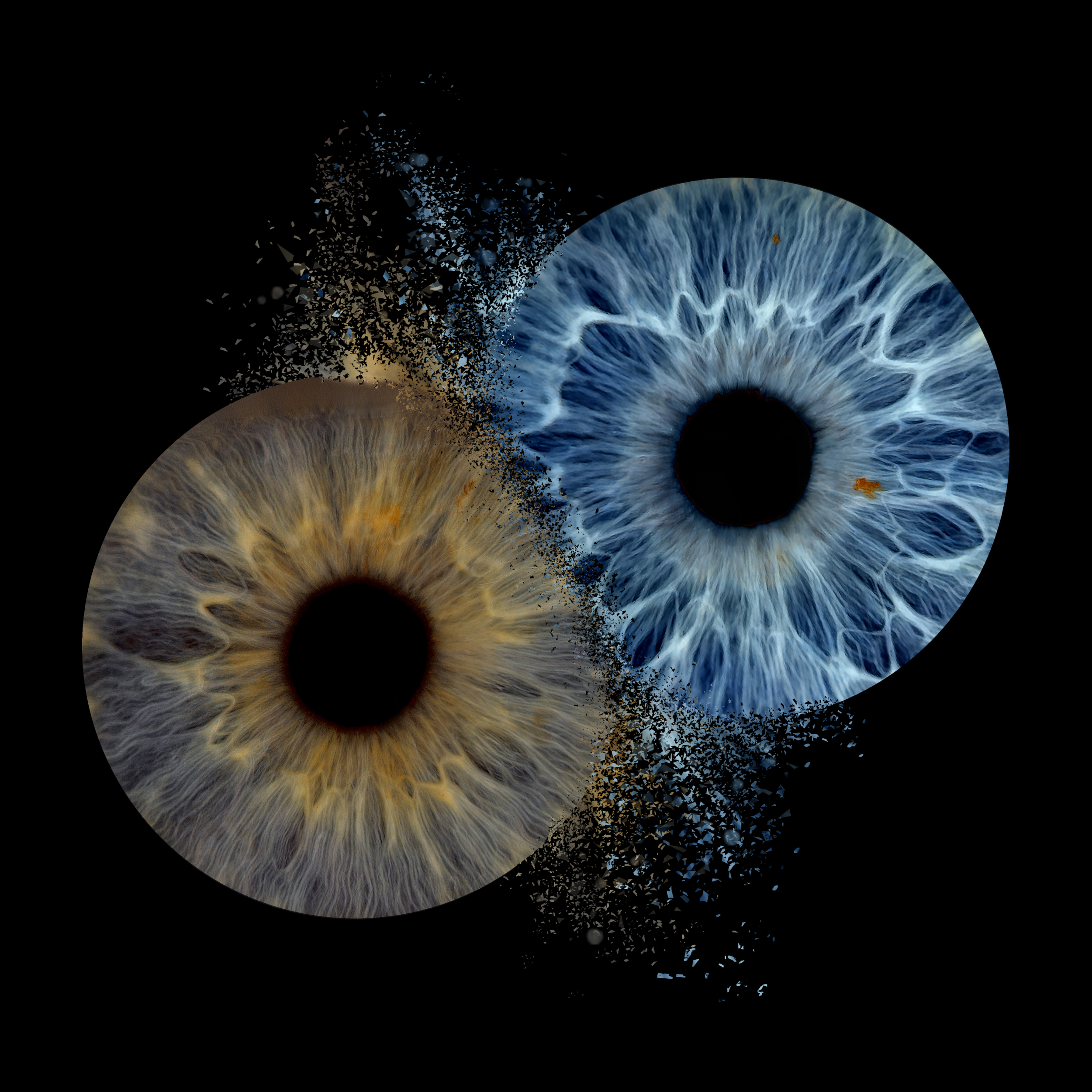 Collision 2 Cheryl 05-04-2026.png