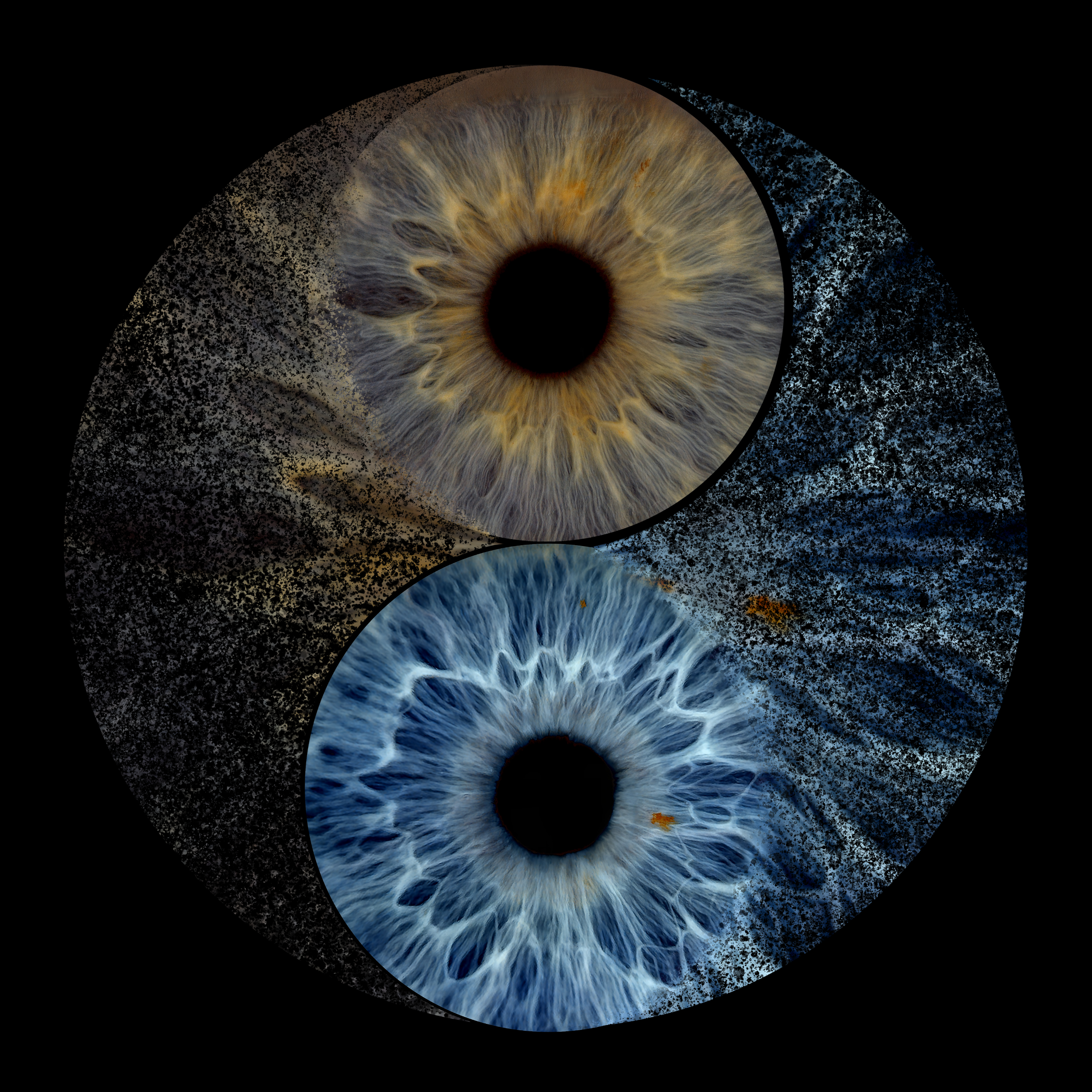 Ying Yang 2 Cheryl 05-04-2026.png