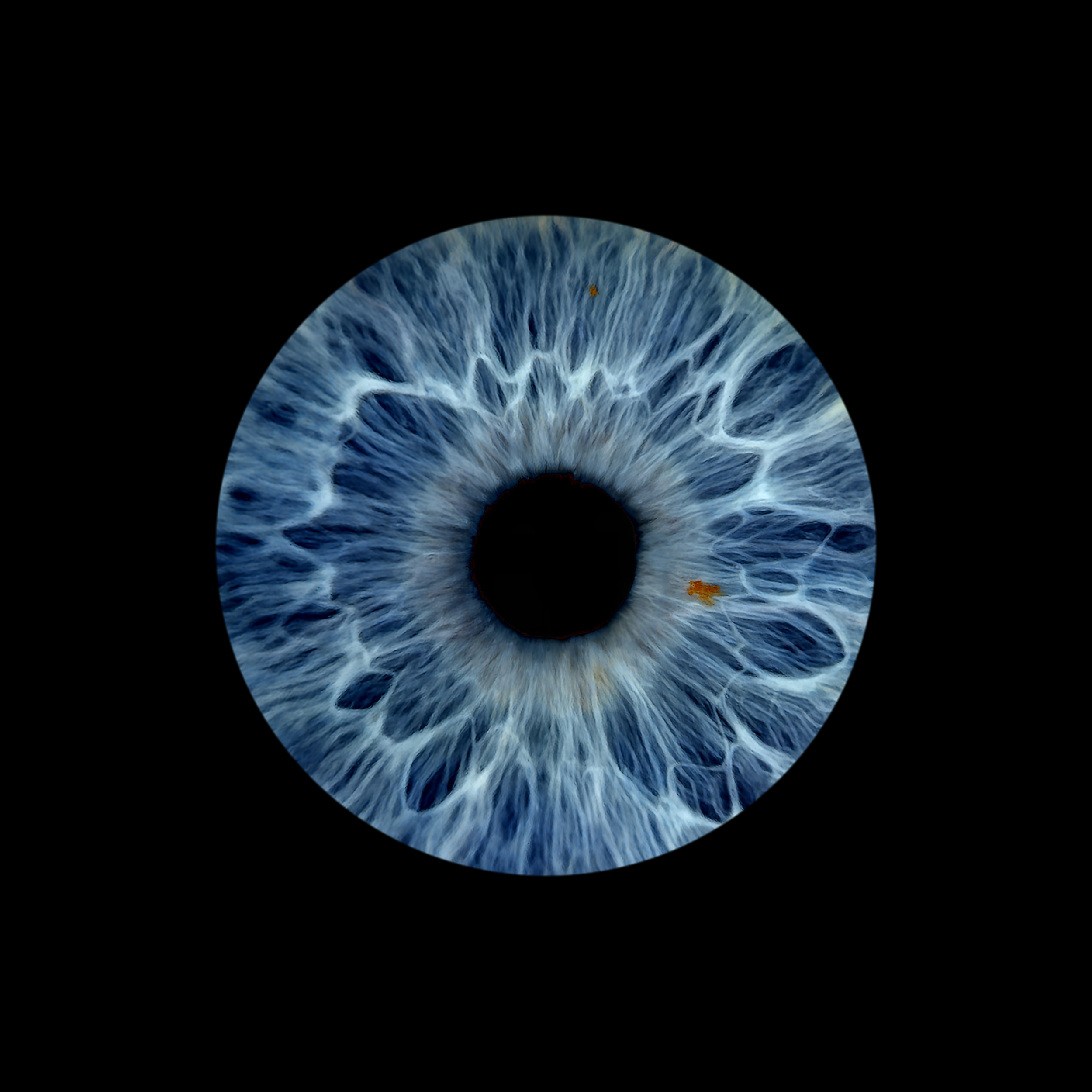 Event Vertical Cheryl 05-04-2026.png