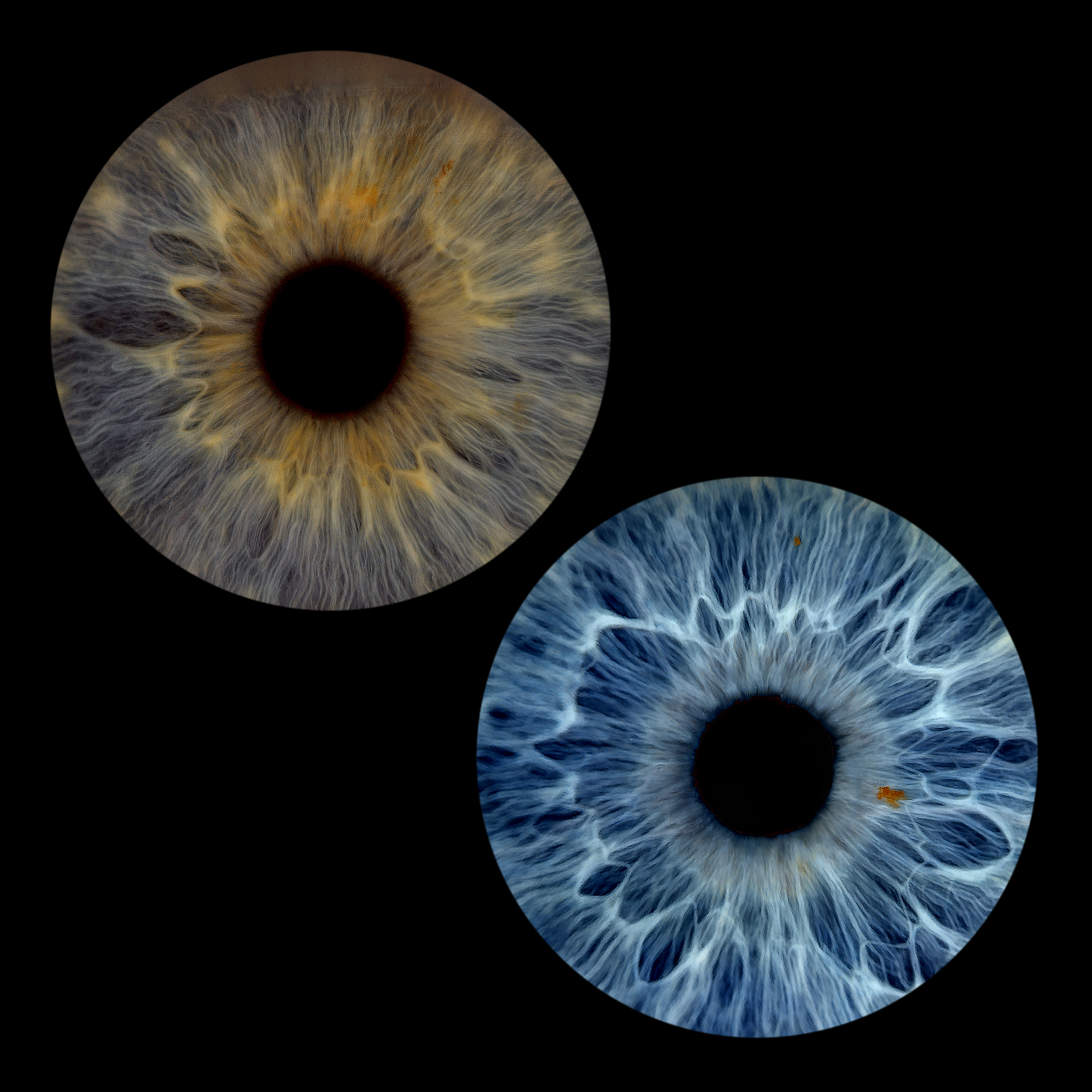 Plain 2 - square left Cheryl 05-04-2026.png