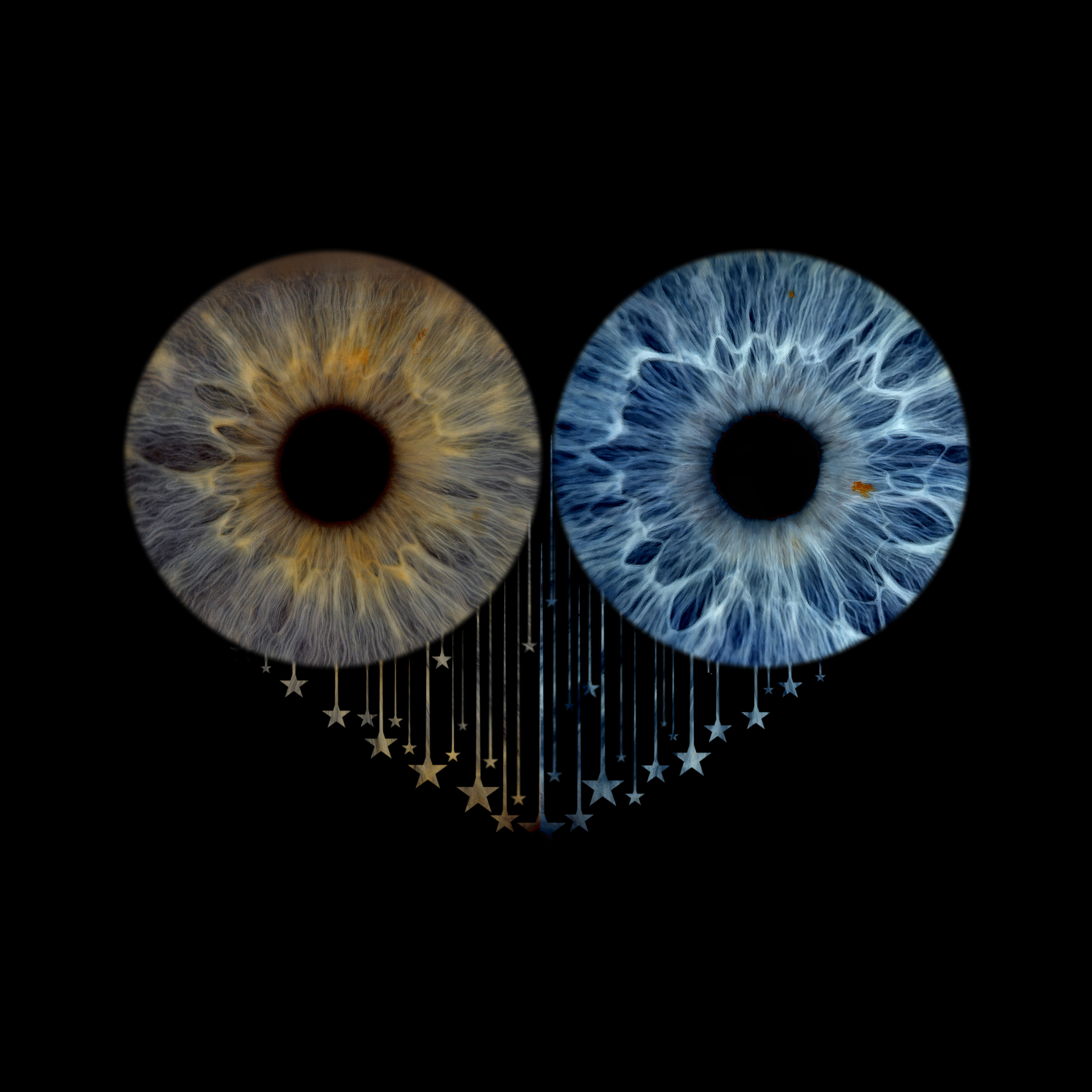 Dropping Stars Cheryl 05-04-2026.png