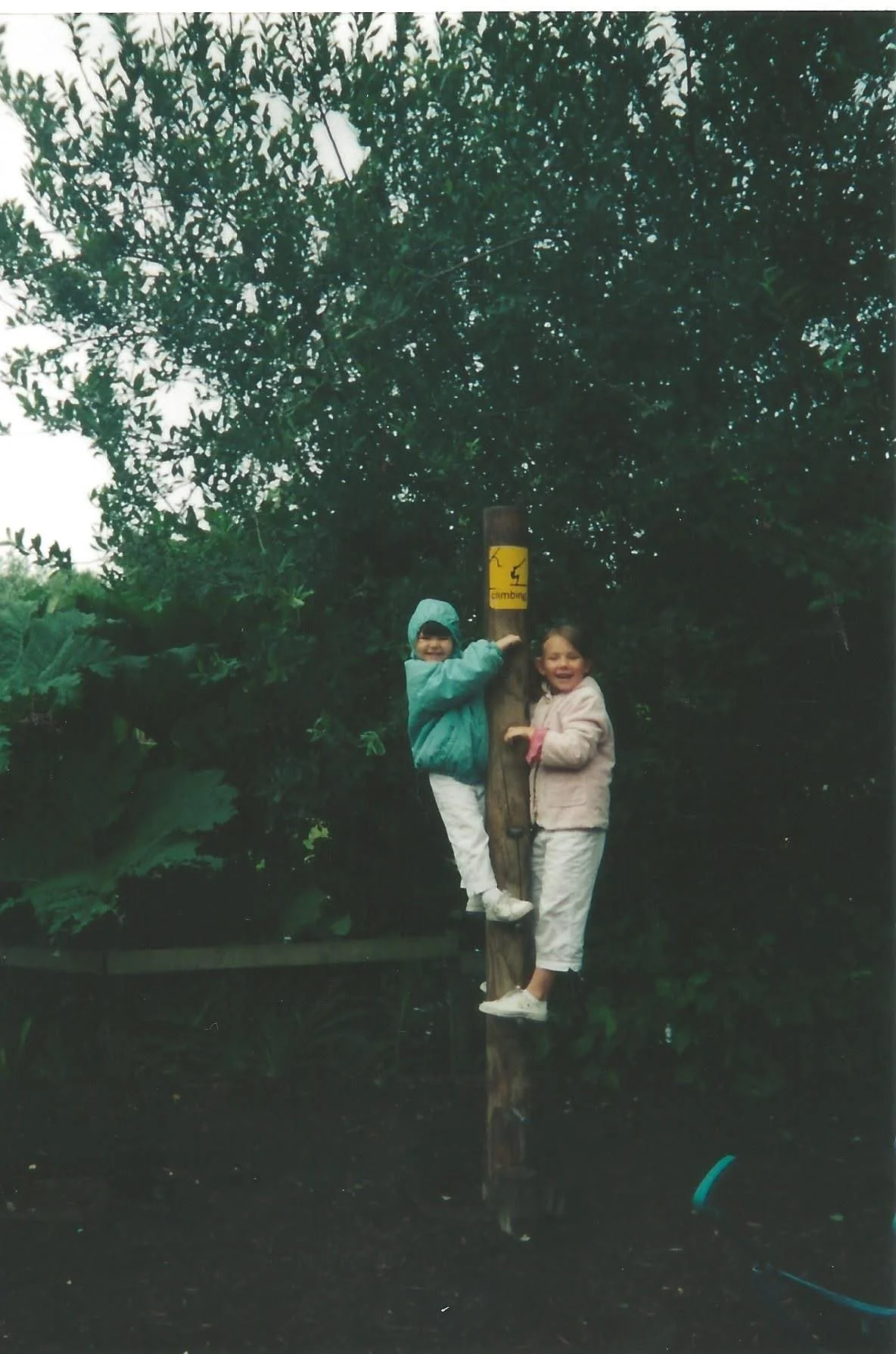 Two children, a boy and a girl, climbing a wooden pole with a sign that says 'Chimney' and a lightning bolt symbol, surrounded by green trees.