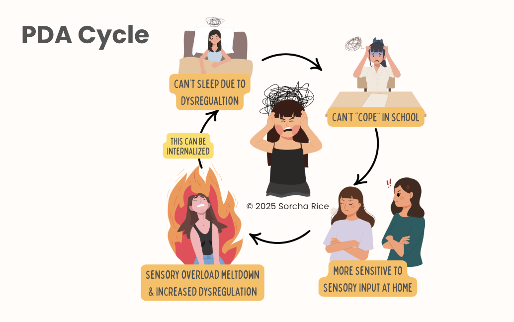 A diagram illustrating the cycle of Sensory Processing Disorder (SPD) related to PDA. It shows a girl unable to sleep due to dysregulation, leading to internalized stress and sensory overload meltdown, which increases dysregulation. Sensory overload causes her to be more sensitive to sensory input at home, making it harder to cope at school.