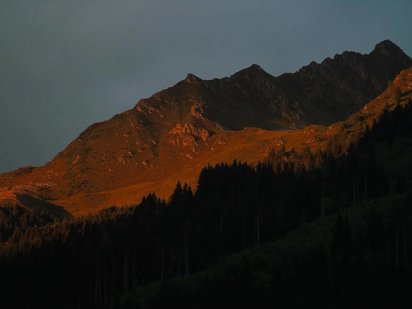 Montagnes au crépuscule avec lumière dorée sur les sommets et forêt sombre devant.