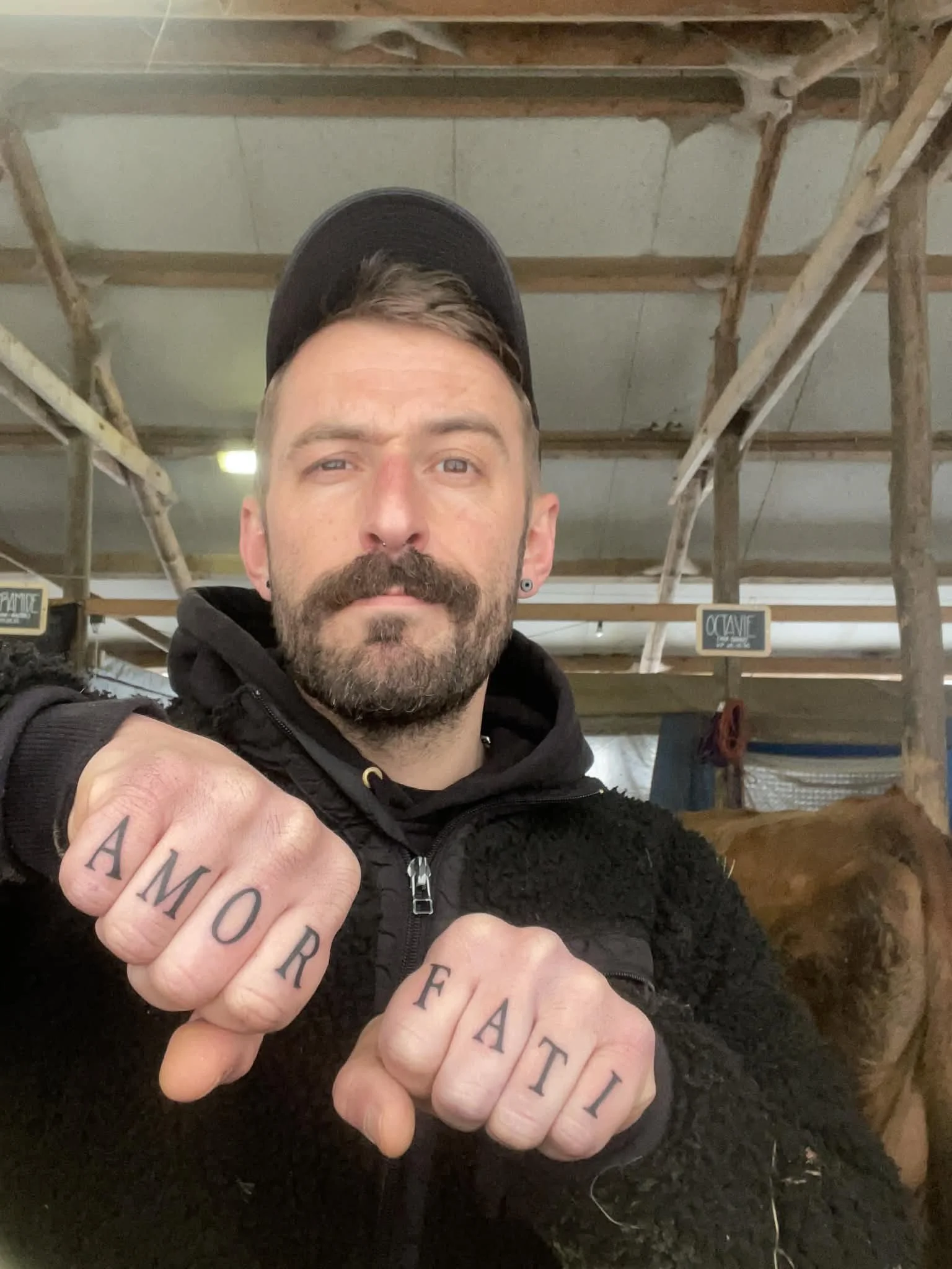 Un homme tatoué portant une casquette et un pull noir, montrant ses mains tatouées avec le message 'AMOR FATI', dans un entrepôt ou une ferme avec une vache en arrière-plan.