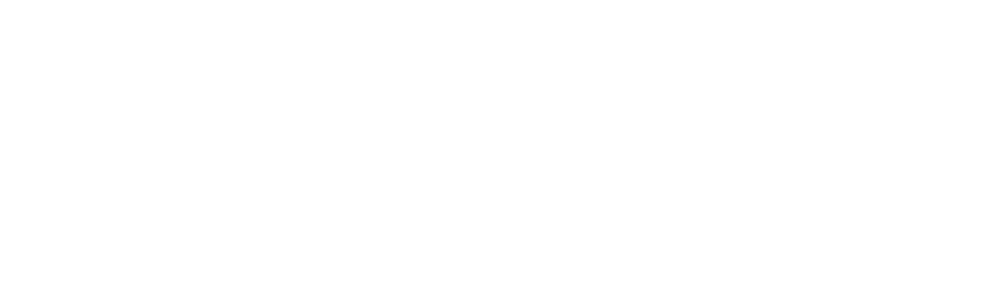 The word 'ELECT' written in large, bold black letters on a white background.
