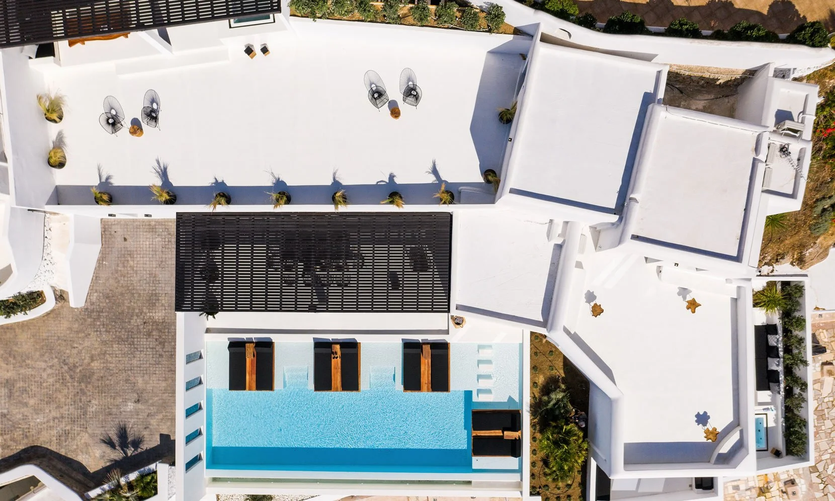 BLACK PEARL (61).jpg