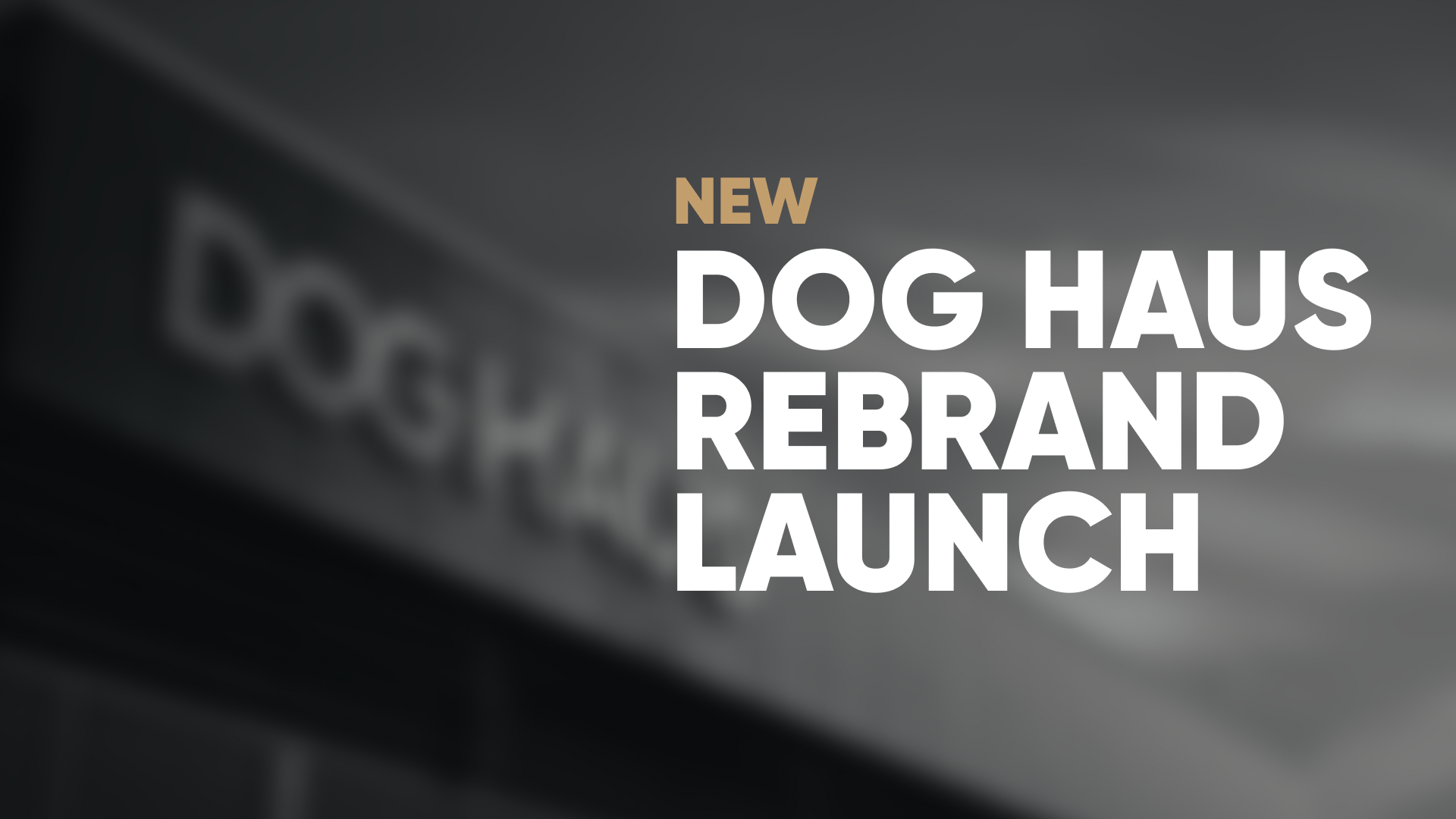 Rebrand Launch