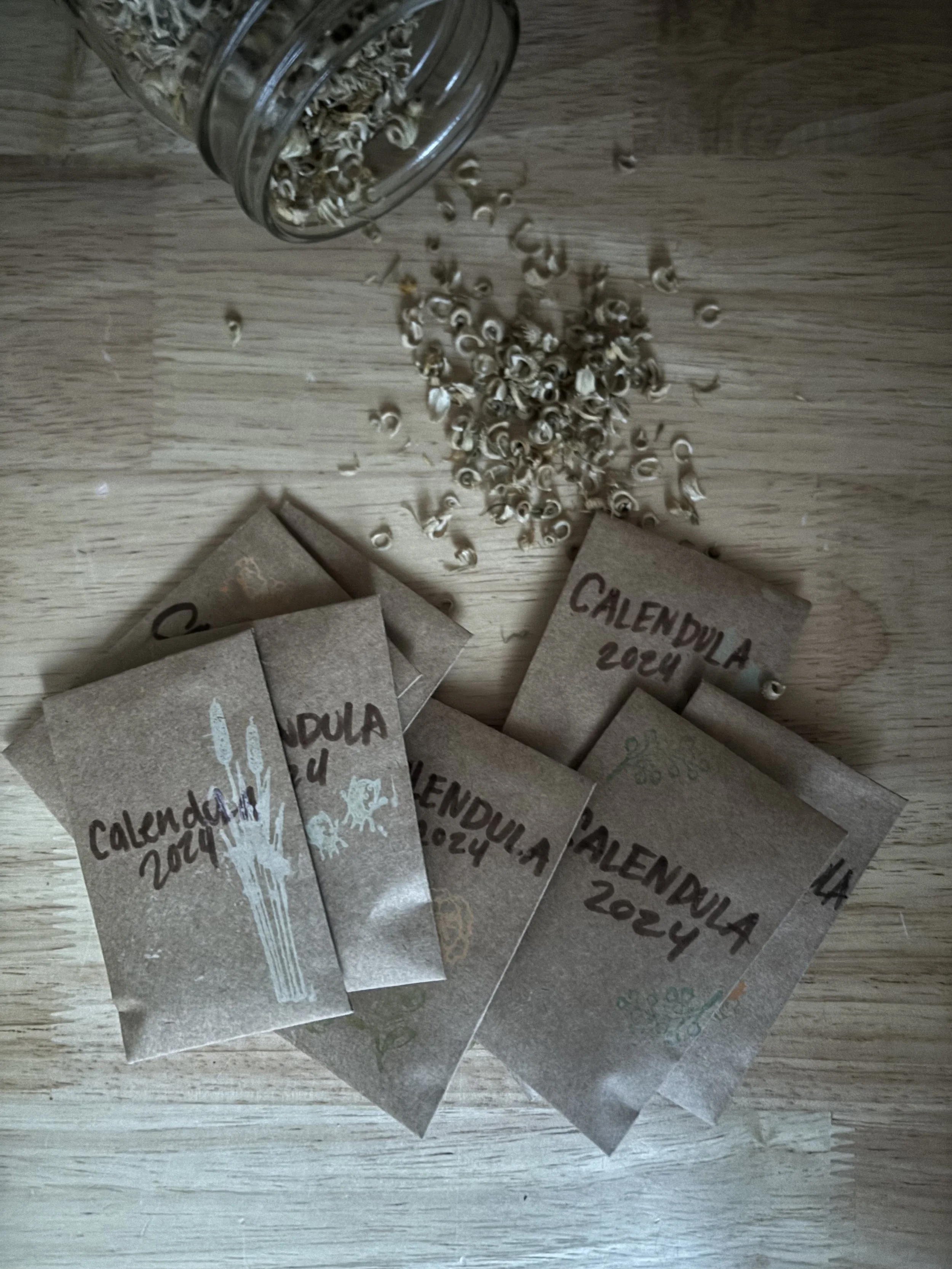 seeds with purchase.jpeg