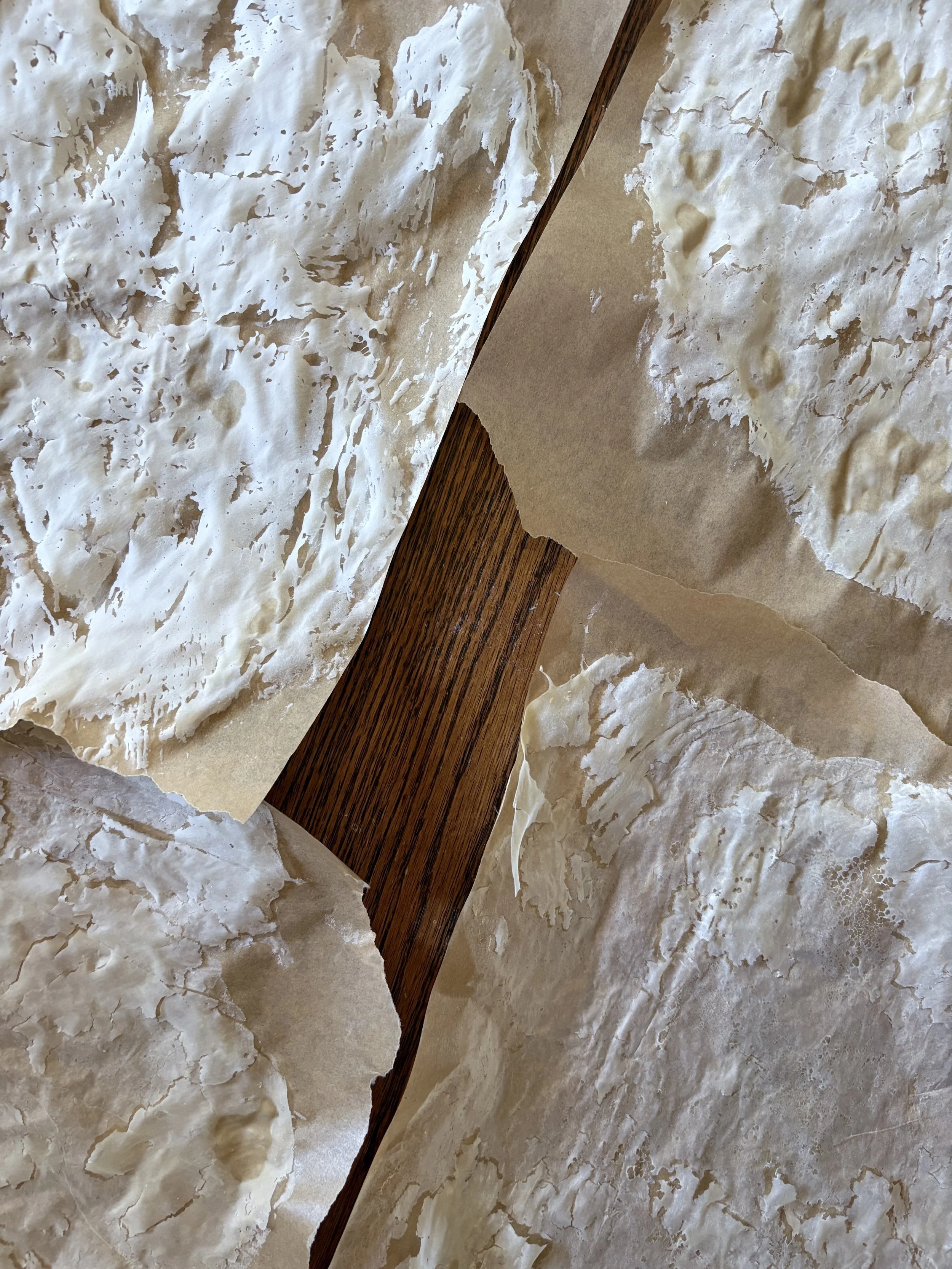 DEHYDRATED SOURDOUGH STARTER FLAKES.jpeg