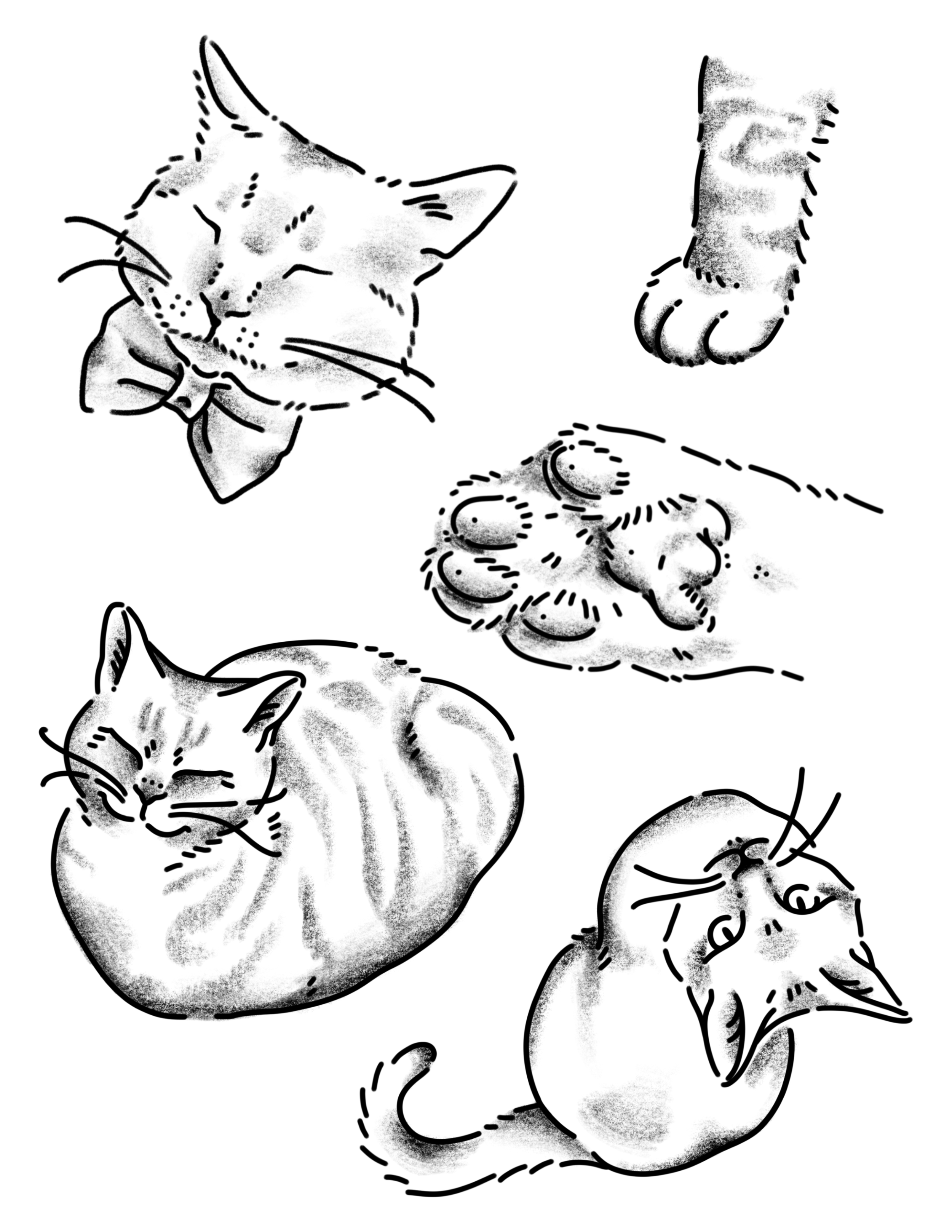 Untitled_Artwork (21).png