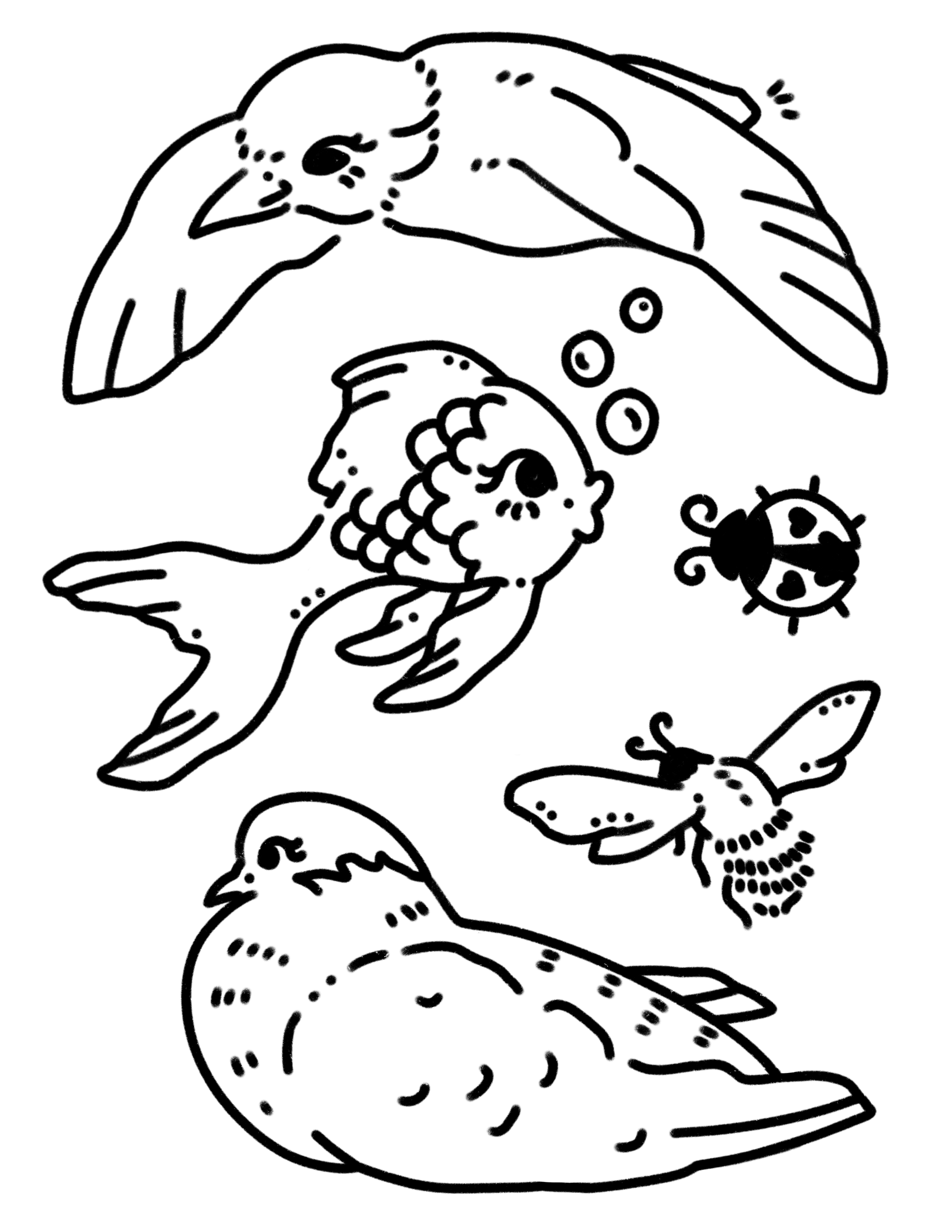 Untitled_Artwork 4 (3).png