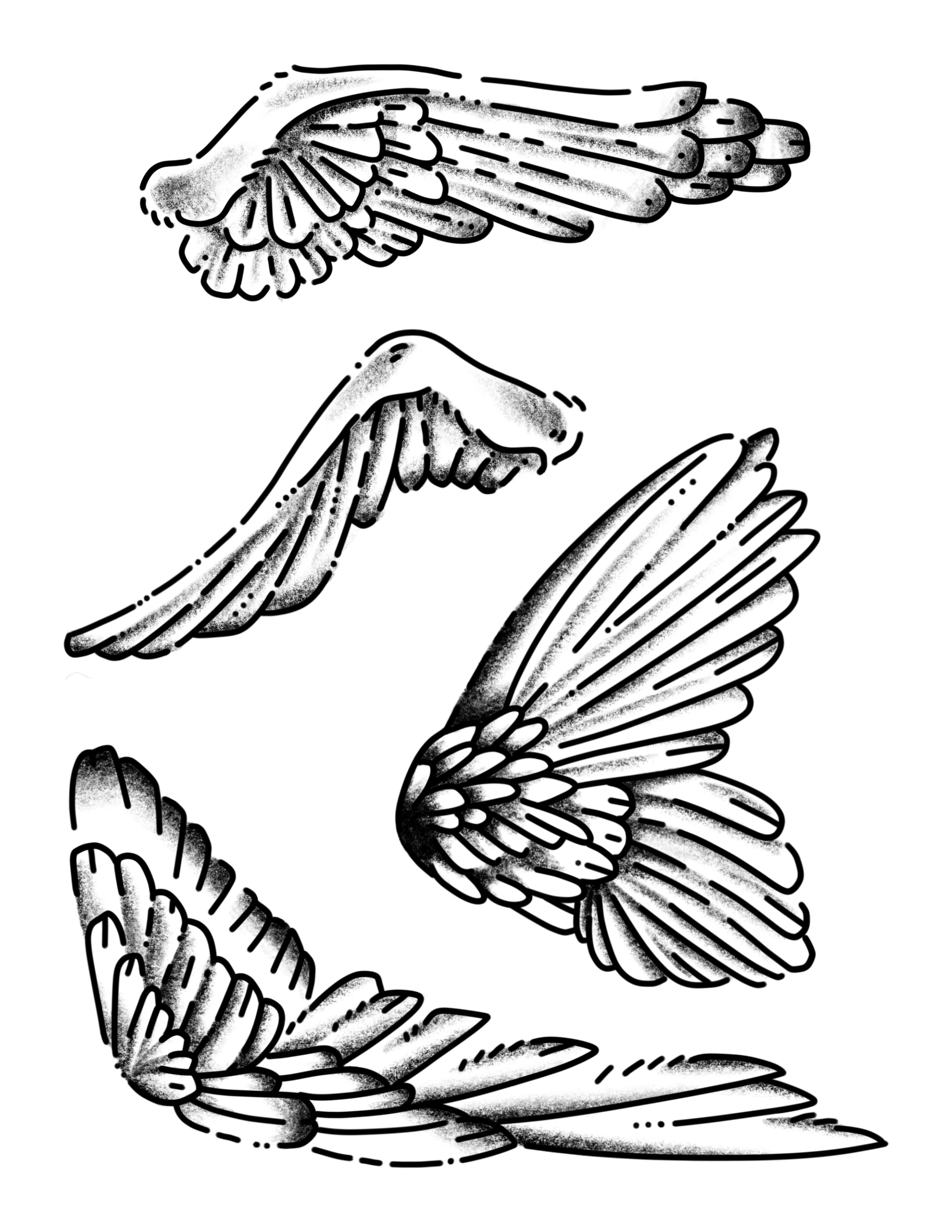 Untitled_Artwork 2 (2).png