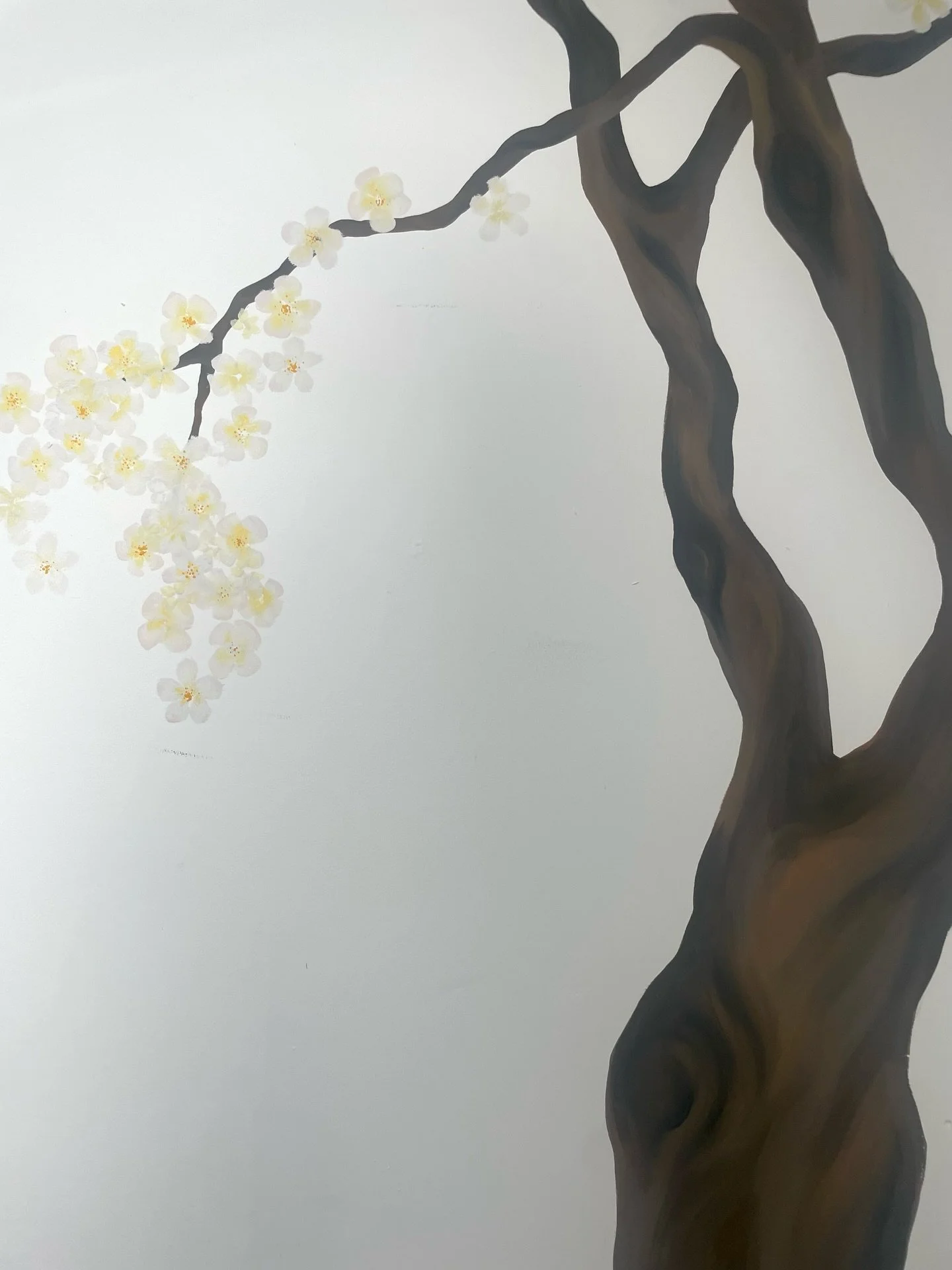 My take on a classic blossom tree, hugging the corner of @inspirebeautybrighton 🫶

Although tricky to photograph, I love how this tree sprawls up on to the ceiling and hangs over the room 💖

#mural #blossomtree #wallart
