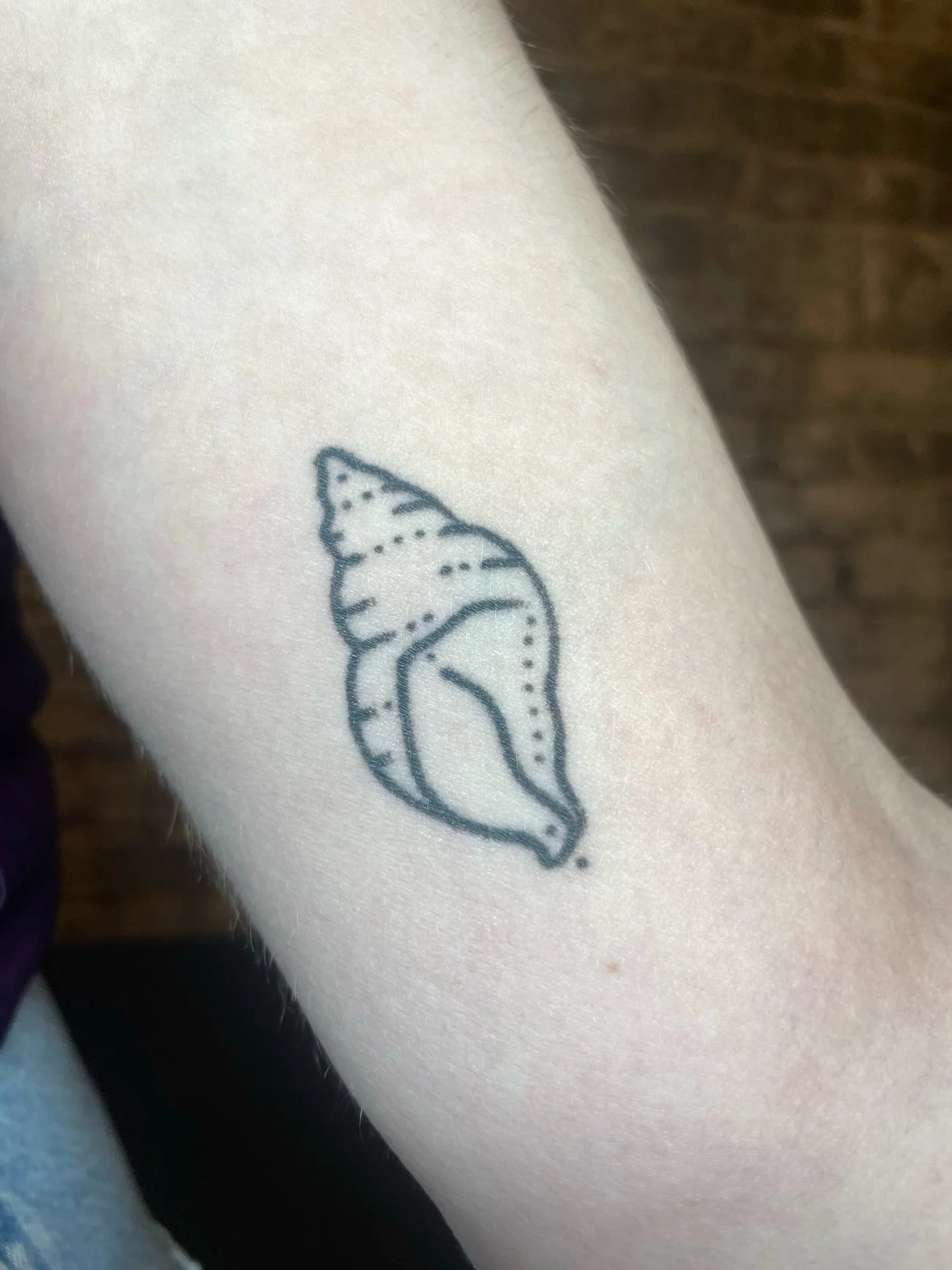 Some of Tehya&rsquo;s healed ones! 🌀💖⭐️

The shell and wrist sparkles are 4 months healed, the horses are 6 months, the wing is 1 year and the cowboy boot is 1 year, 8 months old :)

It&rsquo;s so lush to see my differing styles of tattooing healed