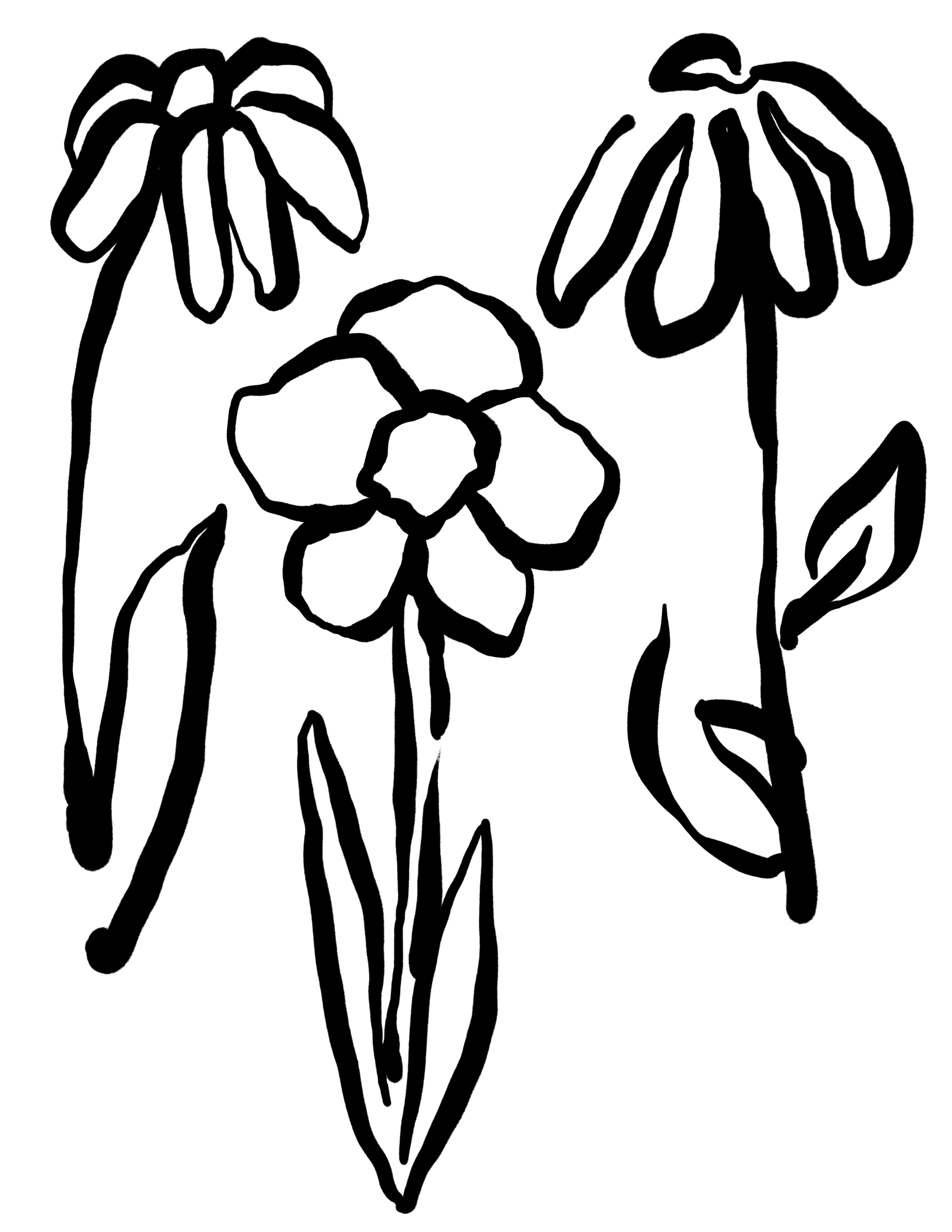 Untitled_Artwork 1 (5).png