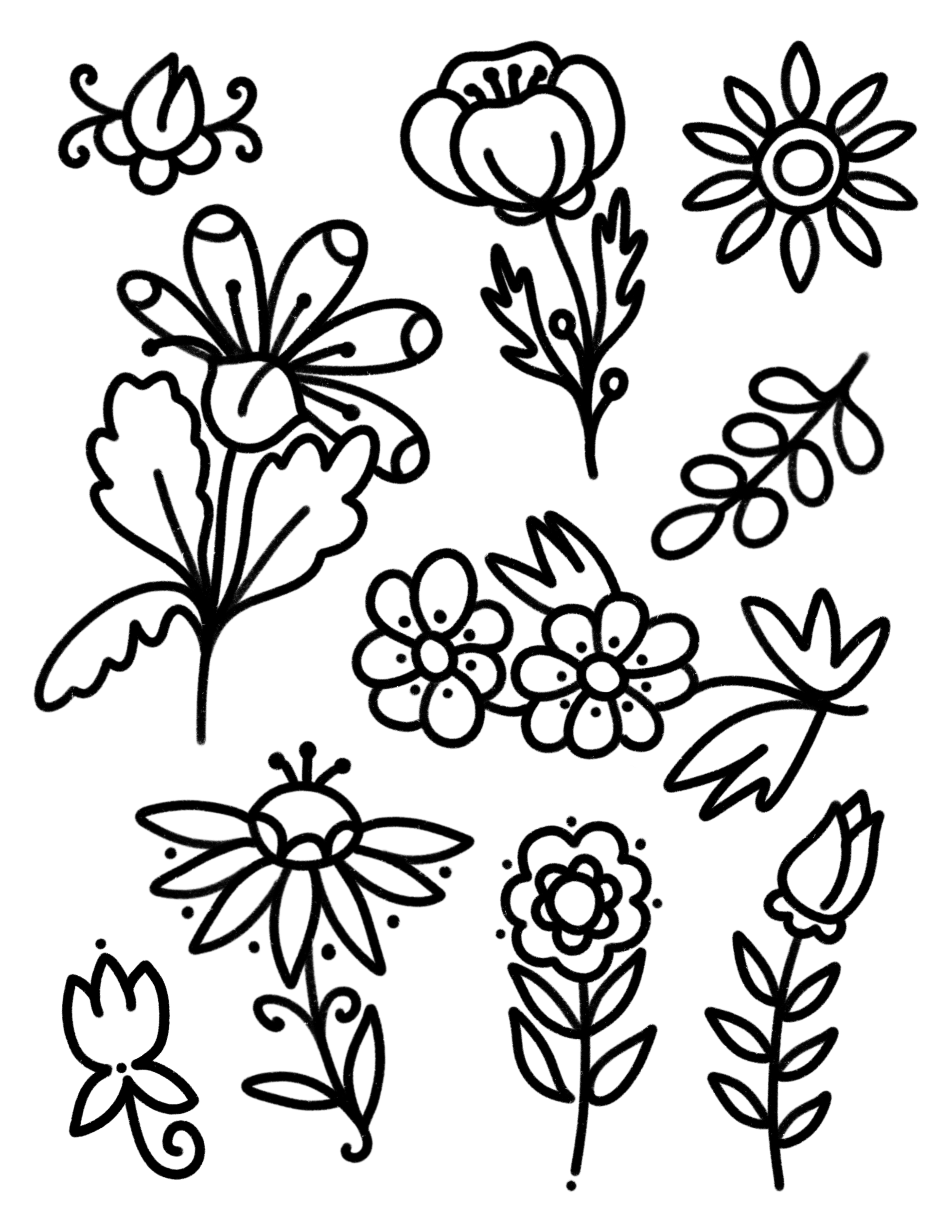 Untitled_Artwork 2.png