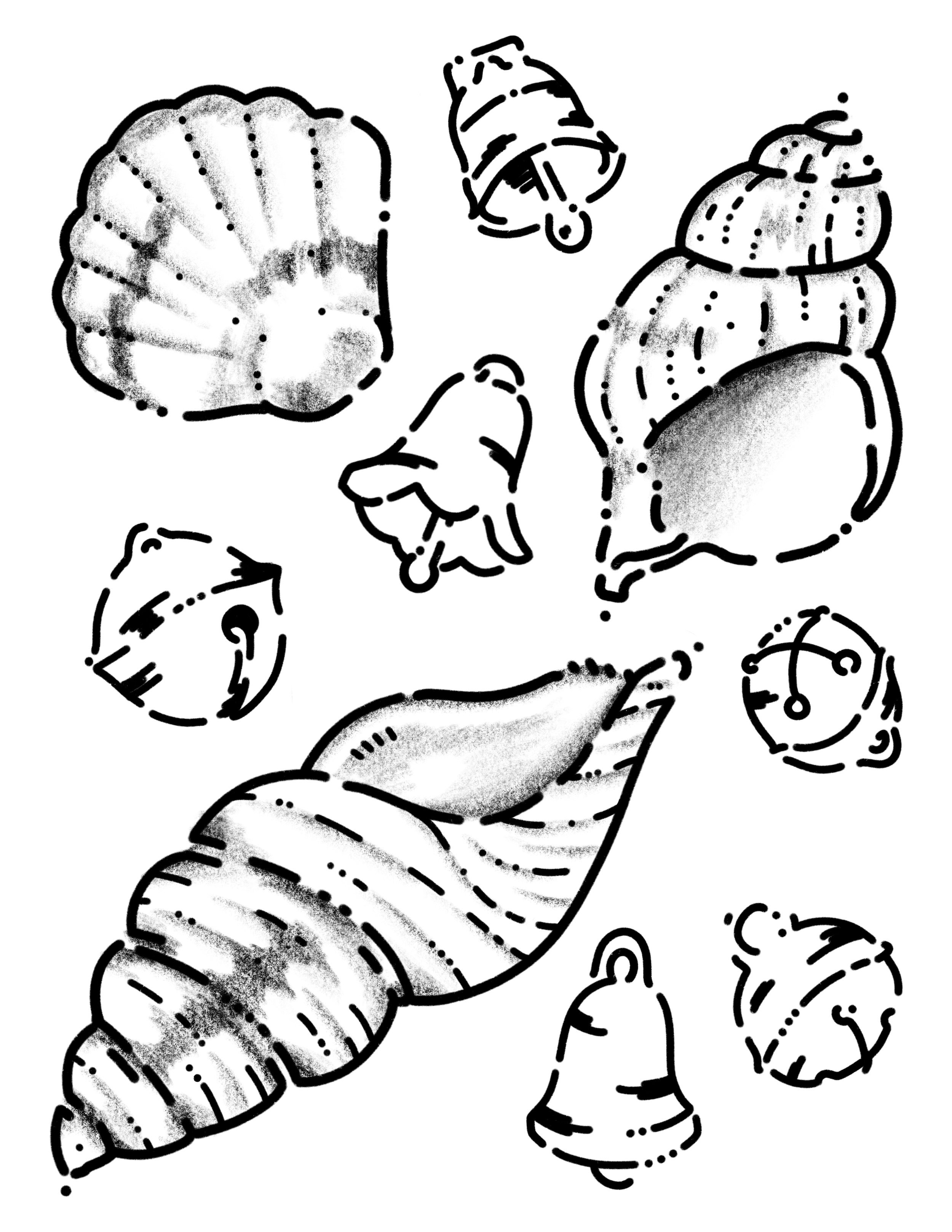 Untitled_Artwork 2 (3).png