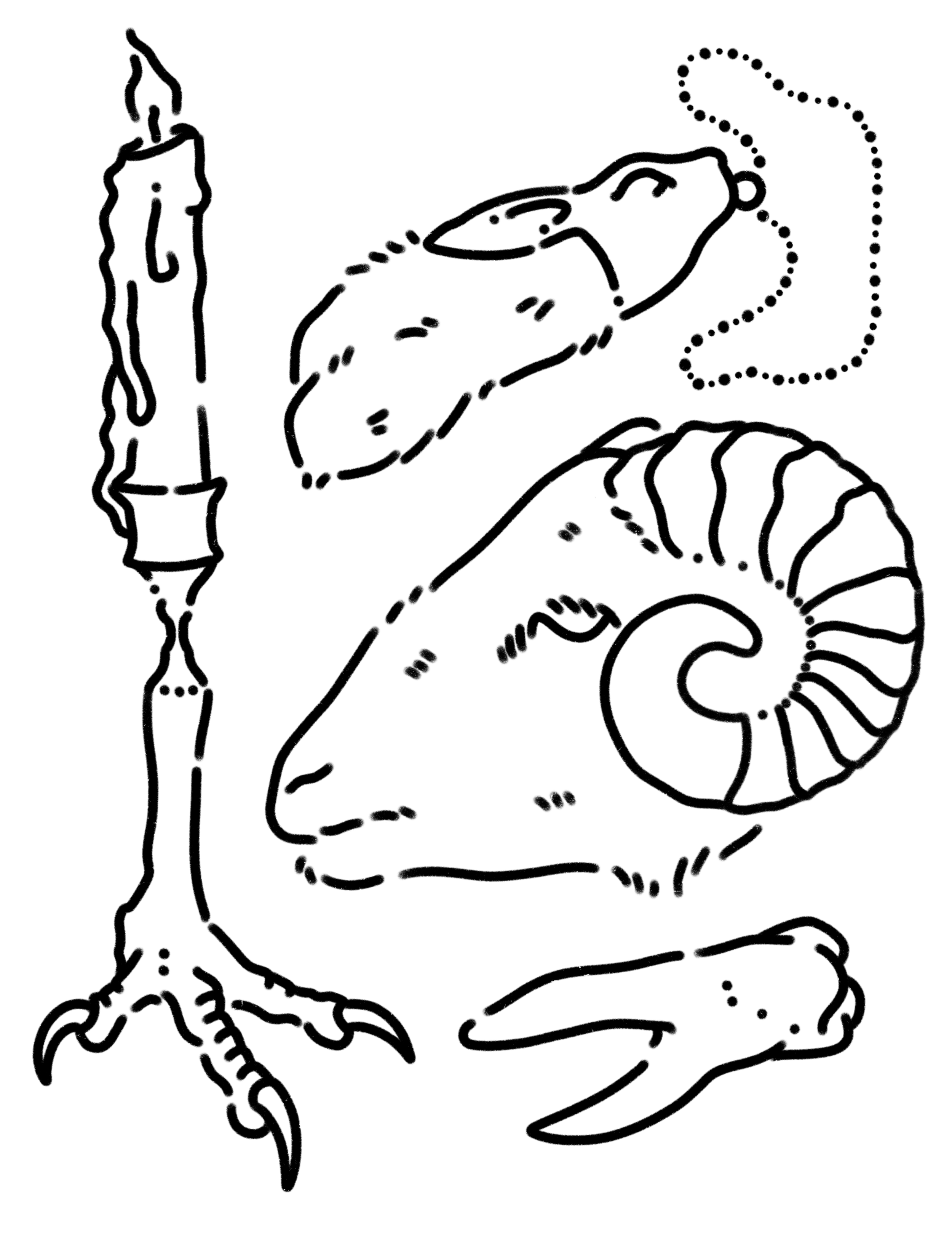 Untitled_Artwork (18).png