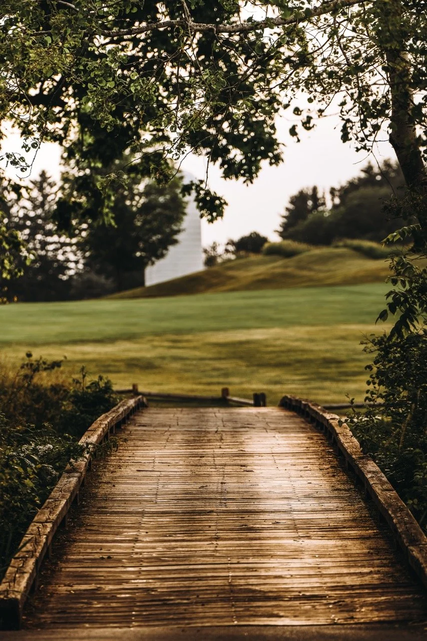 DSC_3050 copy Large.jpeg