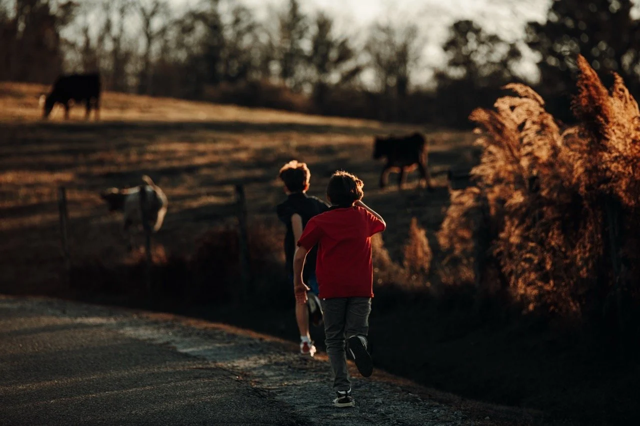 DSC_9549 copy Large.jpeg