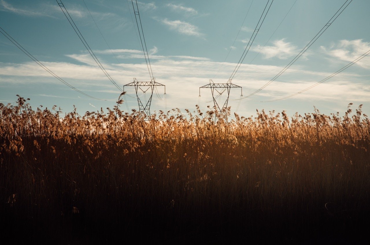 DSC_5442 copy Large.jpeg