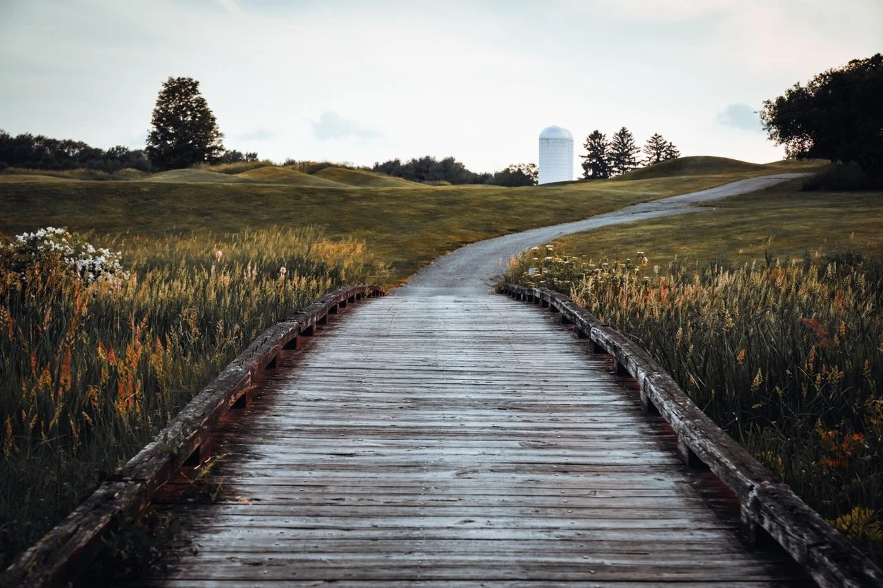 Where The Path Leads