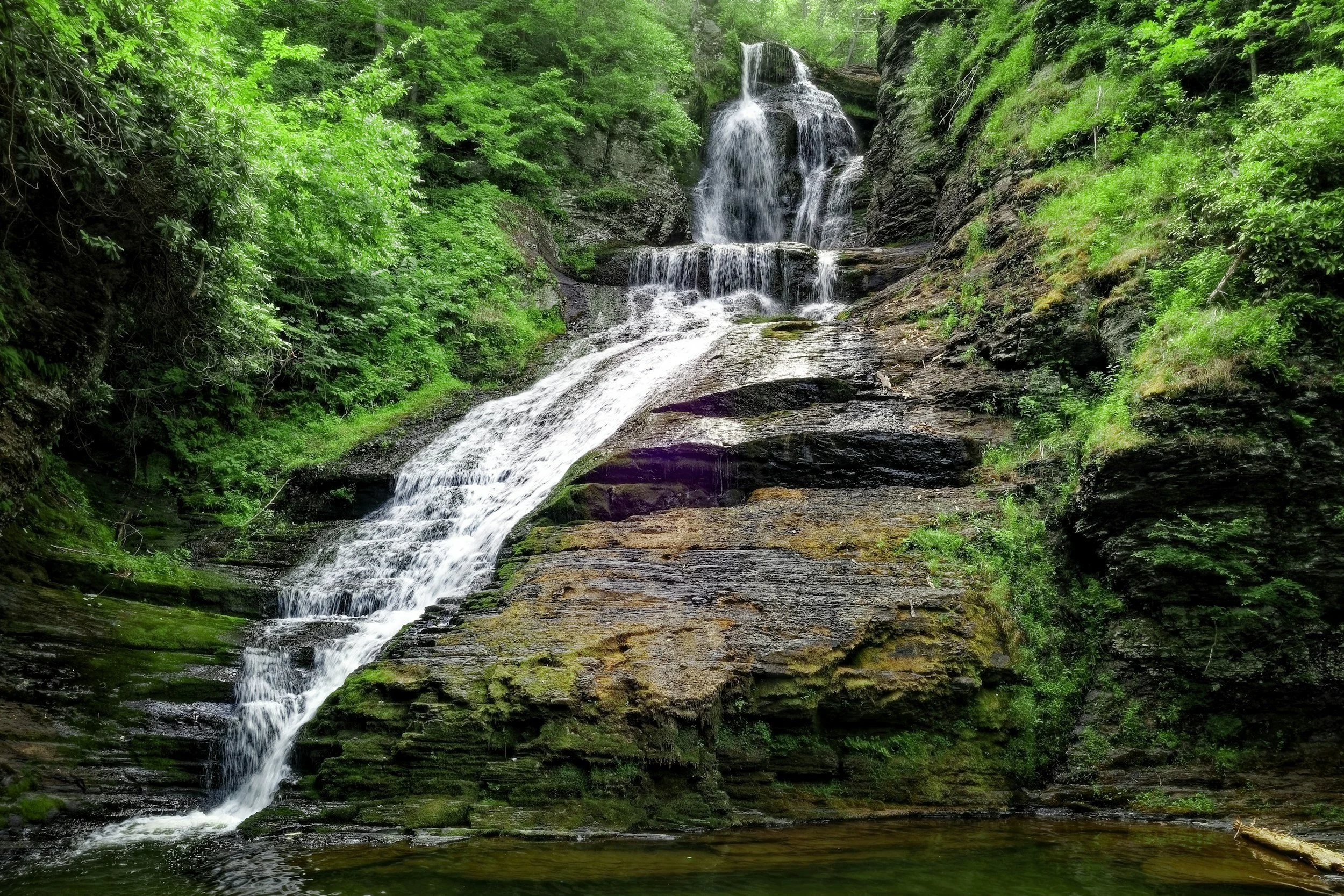 A Legacy of Learning and Collaboration: The History of the Delaware Association for Healthcare Quality