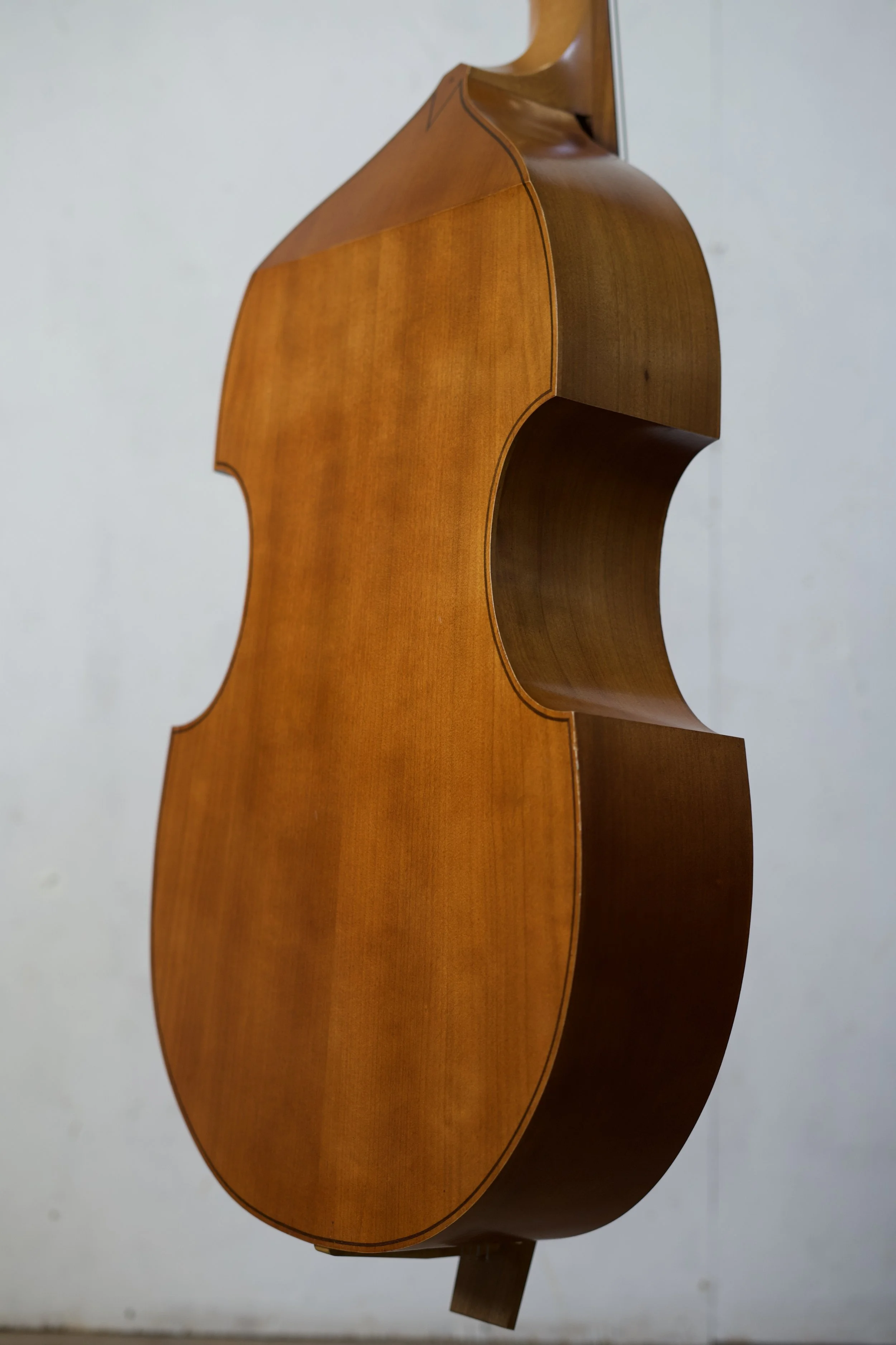 Back / side detailed view of 7 string bass viole showing poplar back and ribs