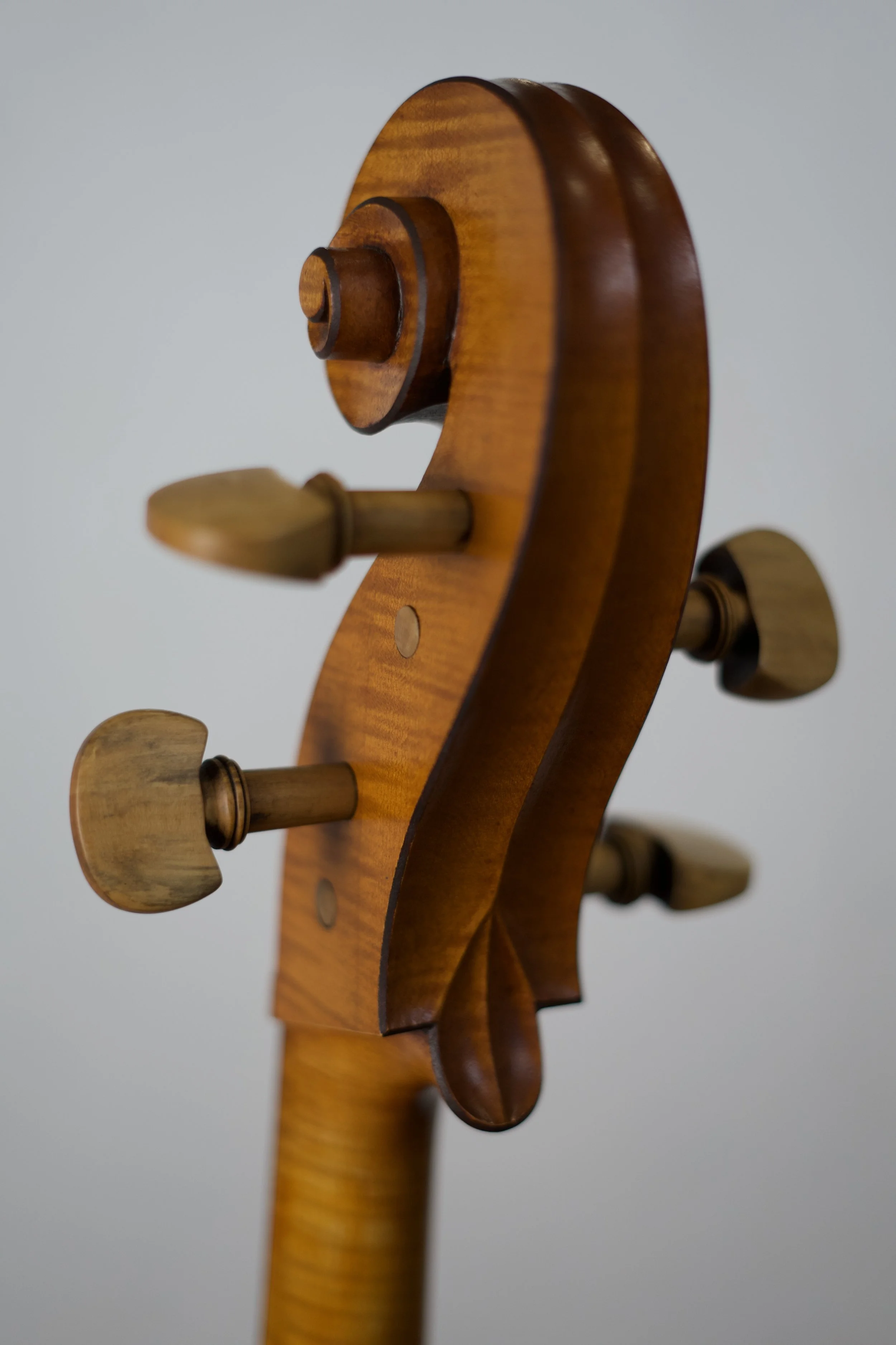 Close-up of the scroll and tuning pegs of a wooden violin with a blurred gray background.
