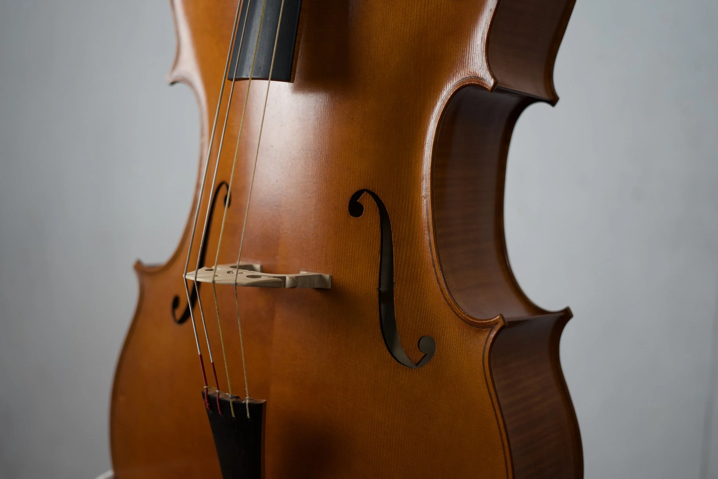 Close-up of a wooden cello with strings, bridge, and f-holes, against a plain gray background.