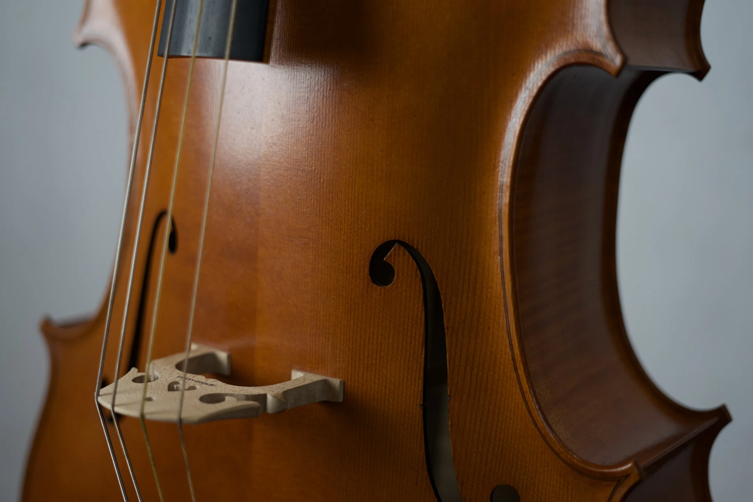 Close-up of a wooden violin body showing the f-hole, strings, and fingerboard.