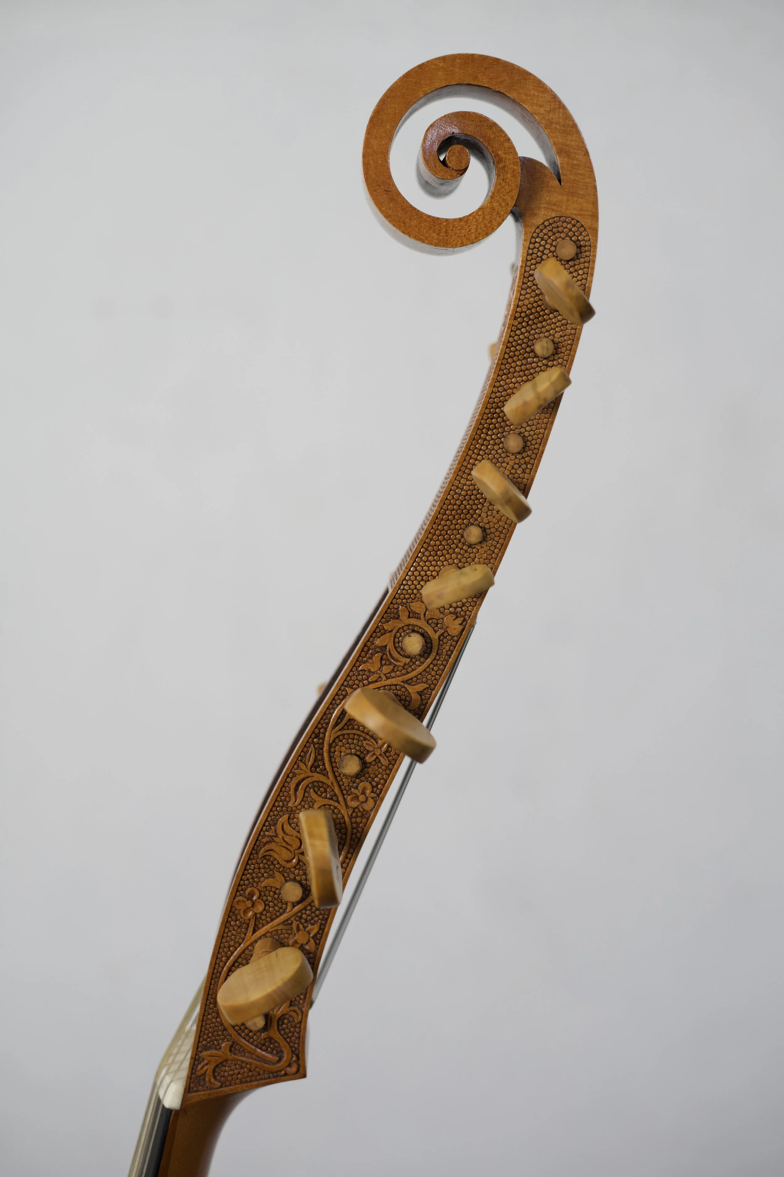 Close-up showing treble side of scroll and displaying incised carving