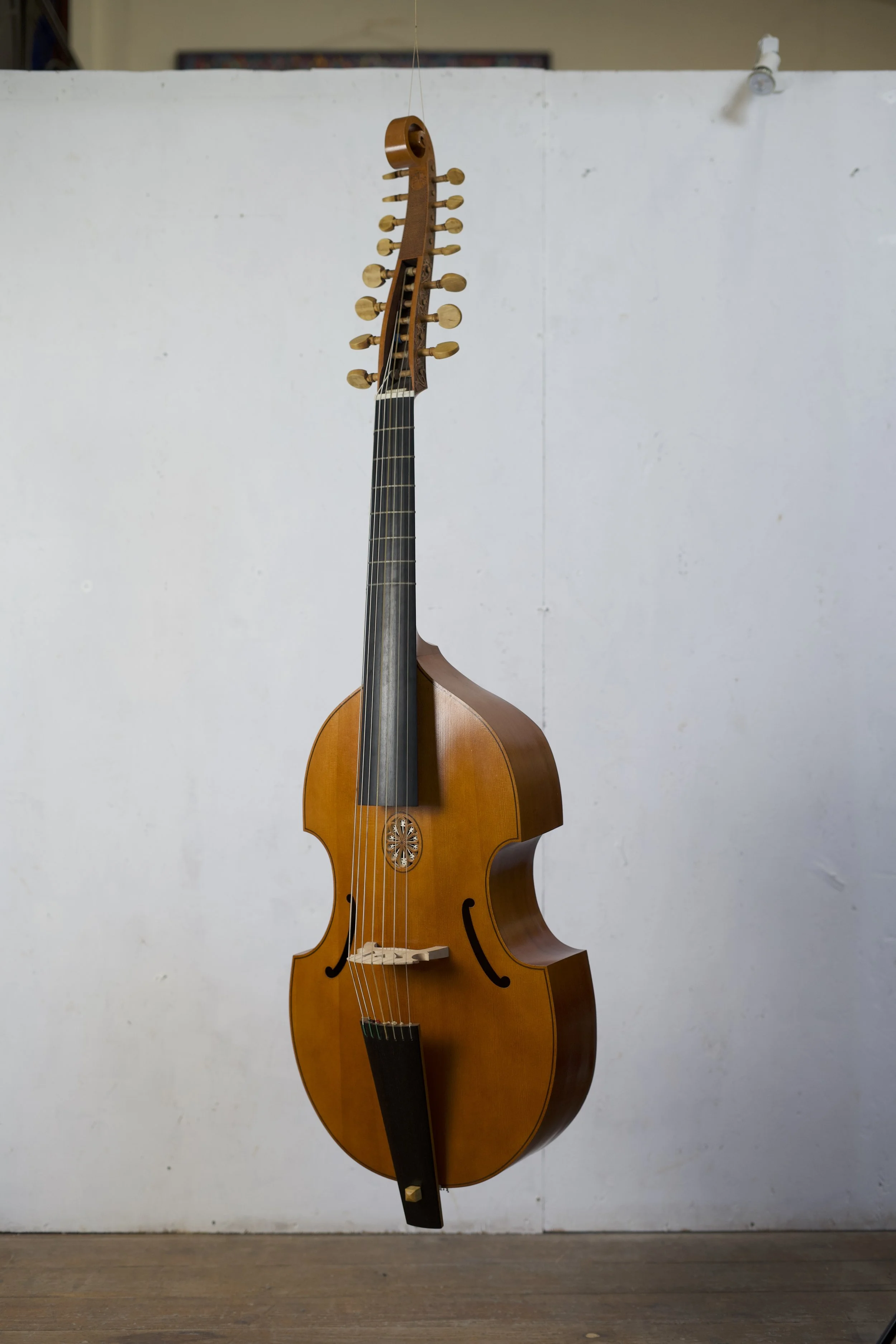 Viol 7 string symp main photo.jpeg