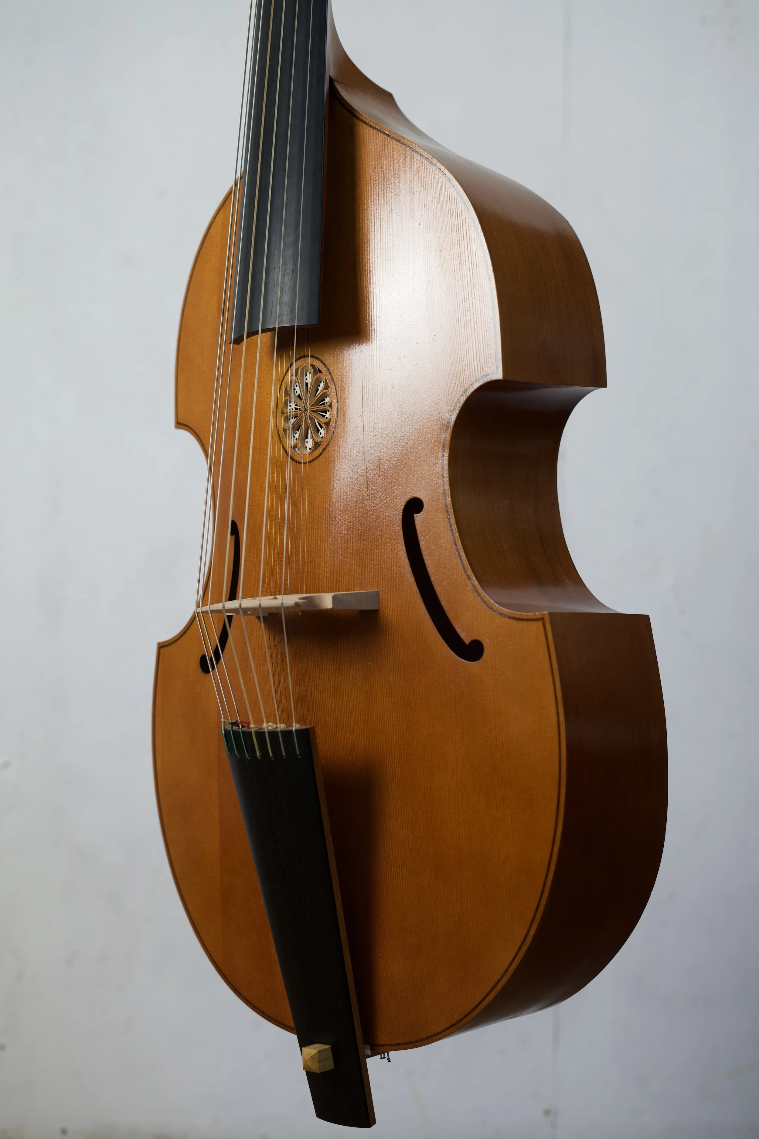 A close-up front / side view emphasising shape of 7 string bass viol