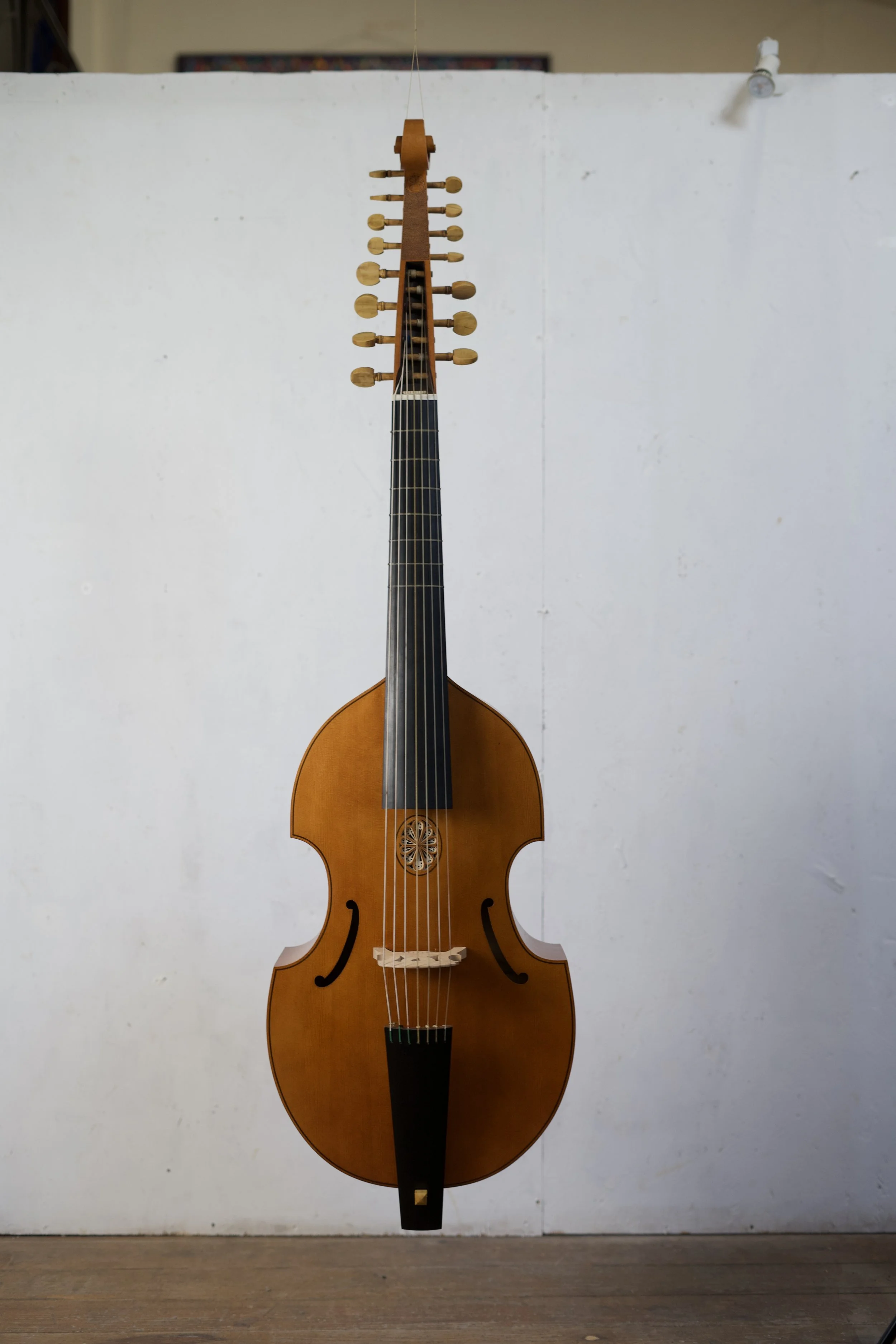 Front view of 7 string bass viol showing full length of instrument 