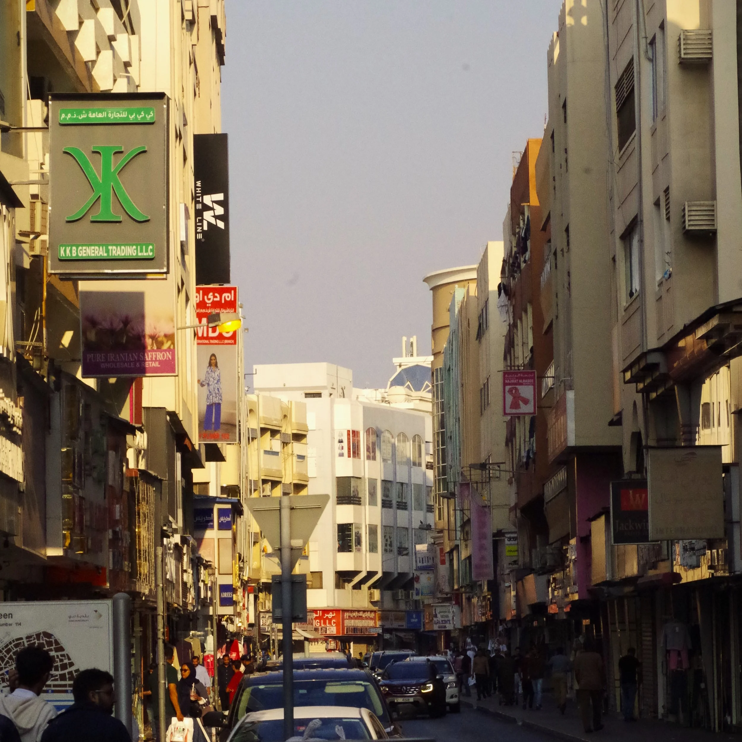 PENTAX K-50_005221.JPG