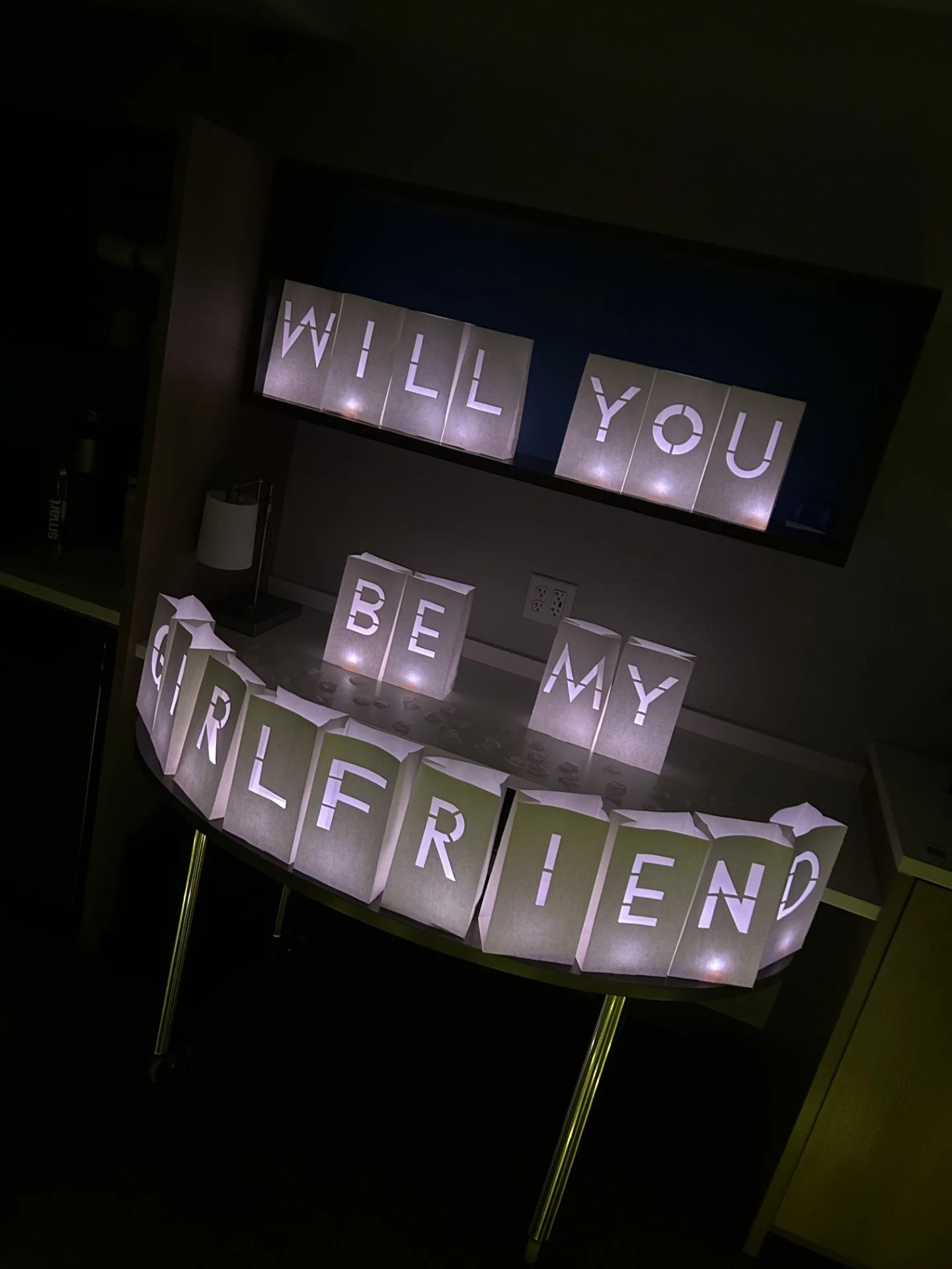 pink proposal.jpg
