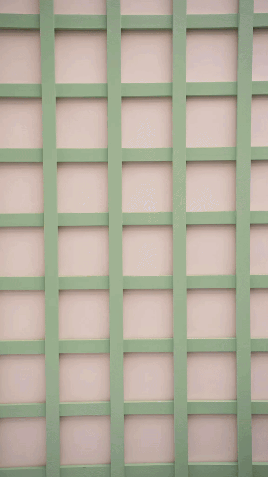 Green lattice structure against a pale background.