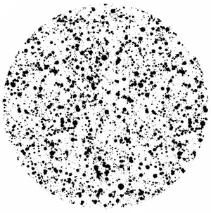 Black ink splatter pattern on a white circular background.