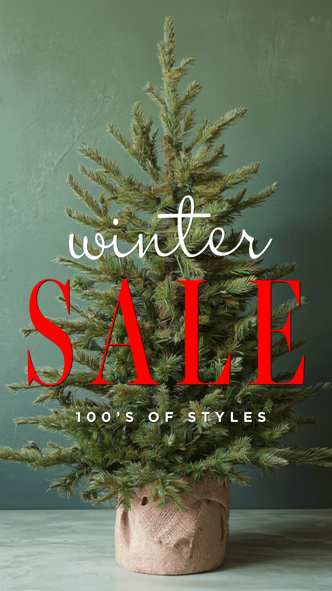 A small potted Christmas tree with a green background, advertising a winter sale with white and red text that says "winter SALE 100's of styles."