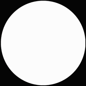 A plain white circle on a black background.
