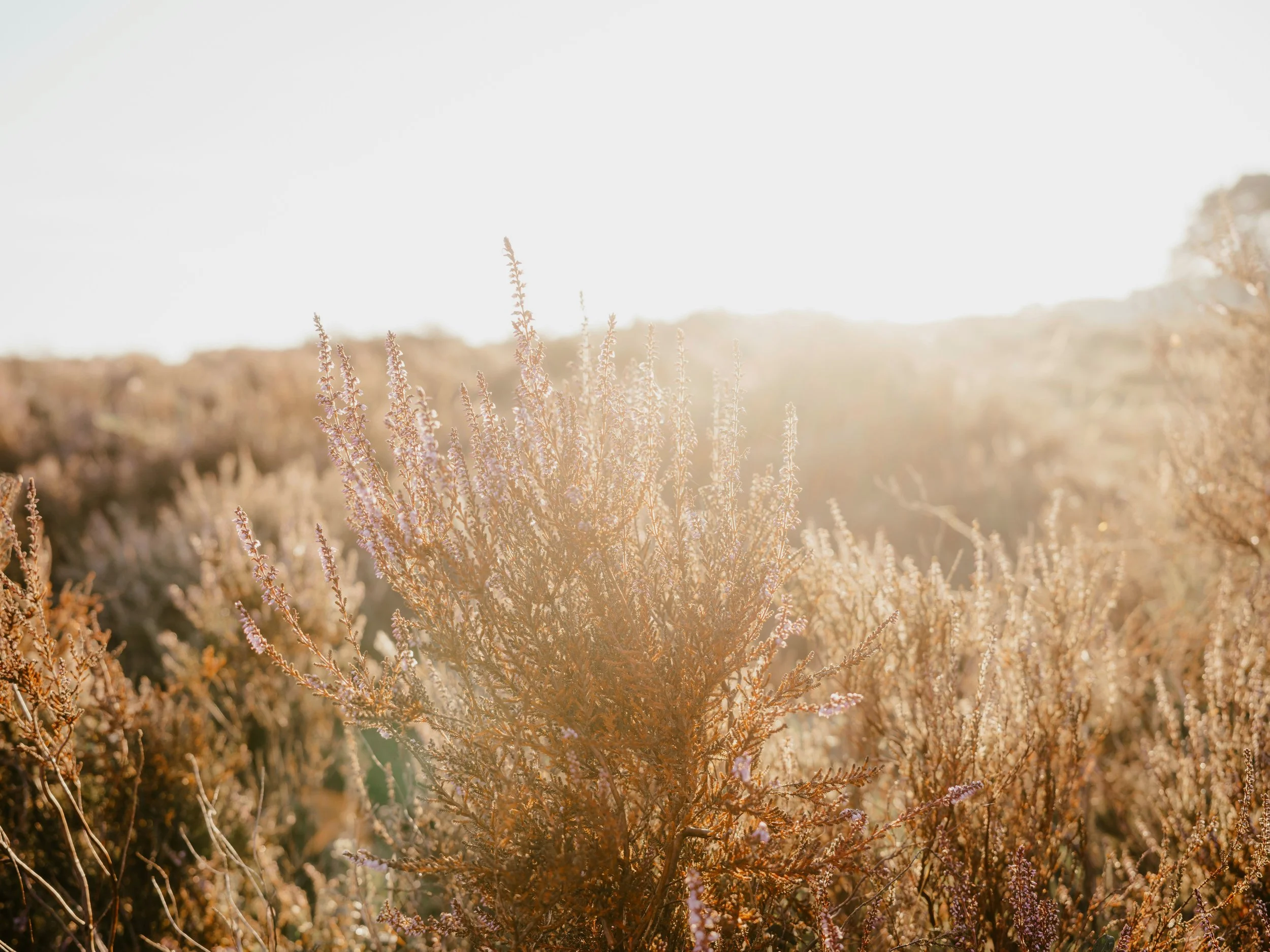 Homelessness in Taos is a Housing Problem